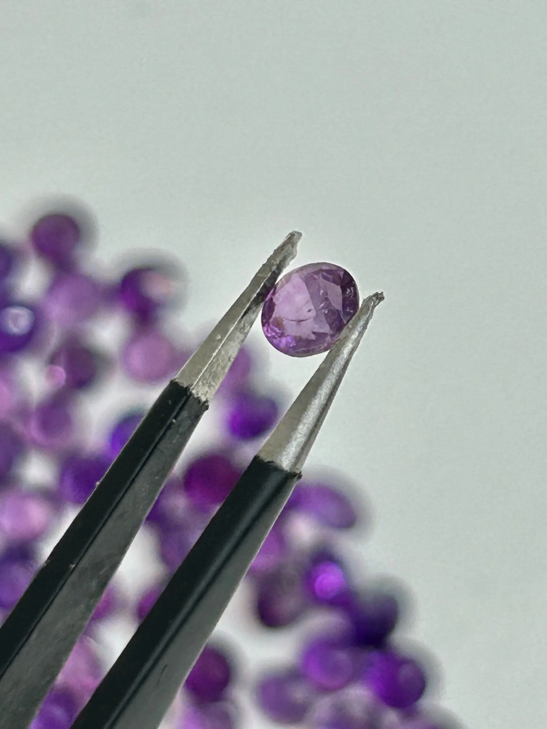 2F6272E4-07DC-4F54-91F1-71D7216B50AA