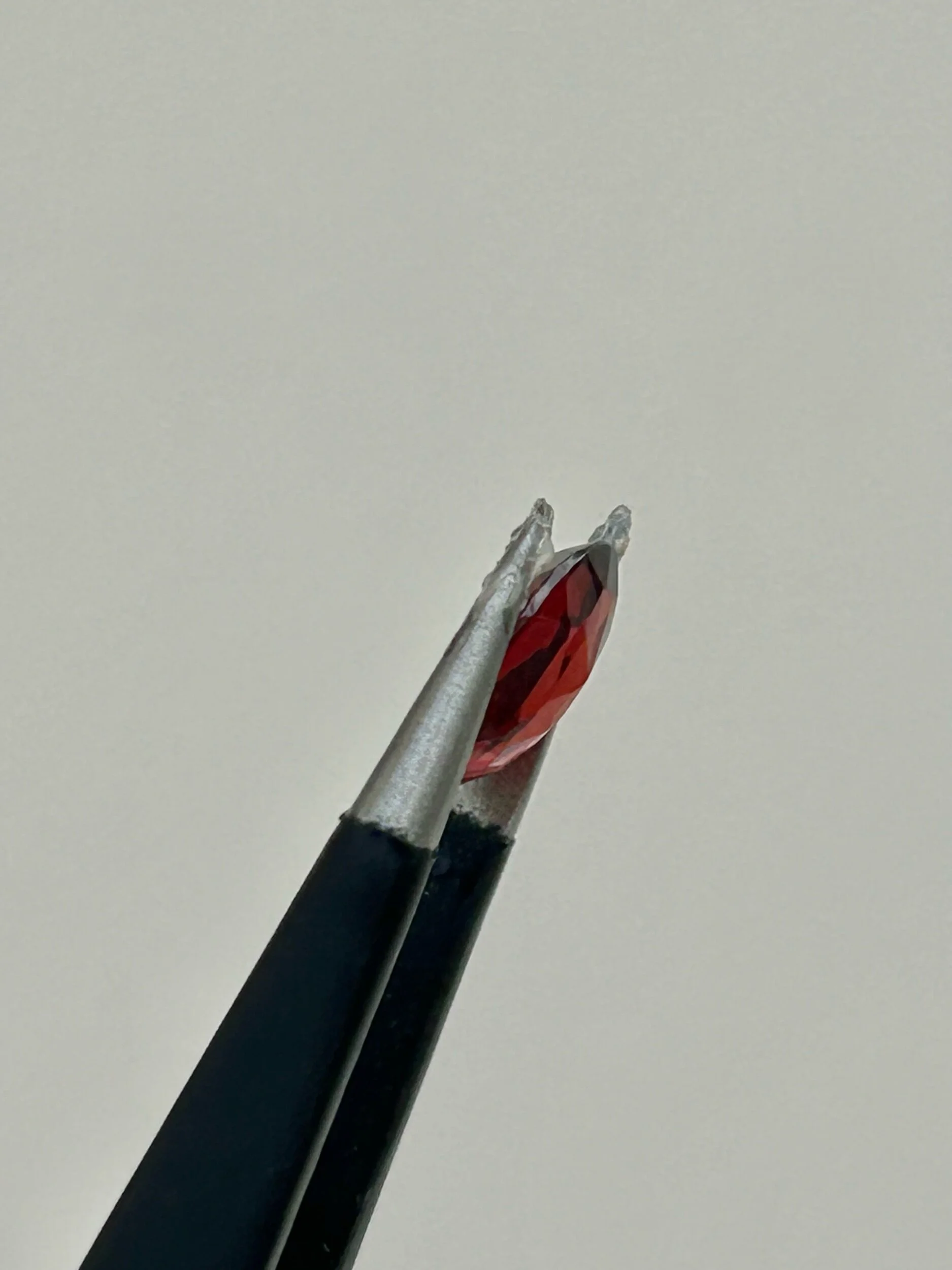 53531653-D32F-4EA5-9A89-B9B7C5E2FC24