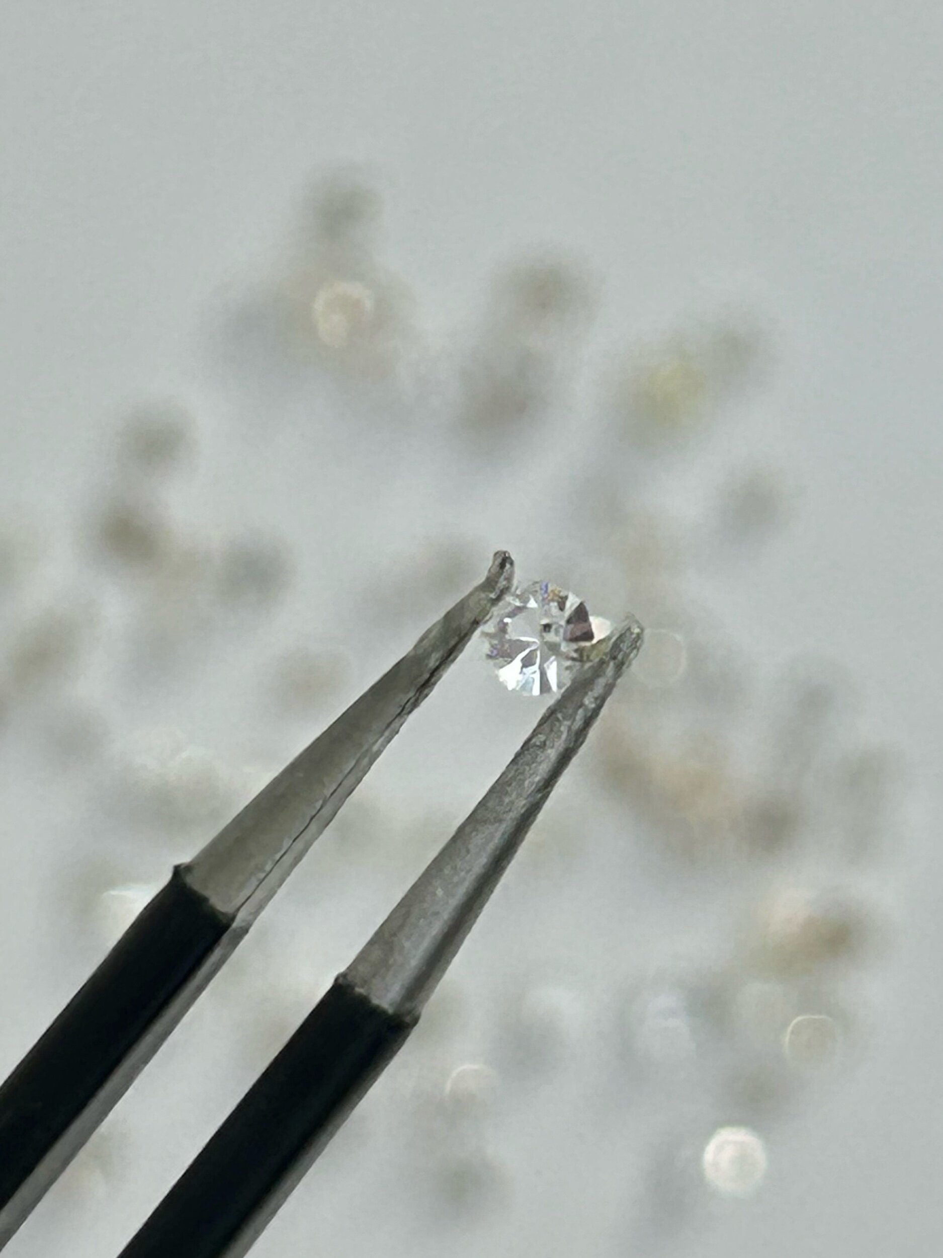 2468883B-D0DB-4FC0-A0BC-B676B76009AB