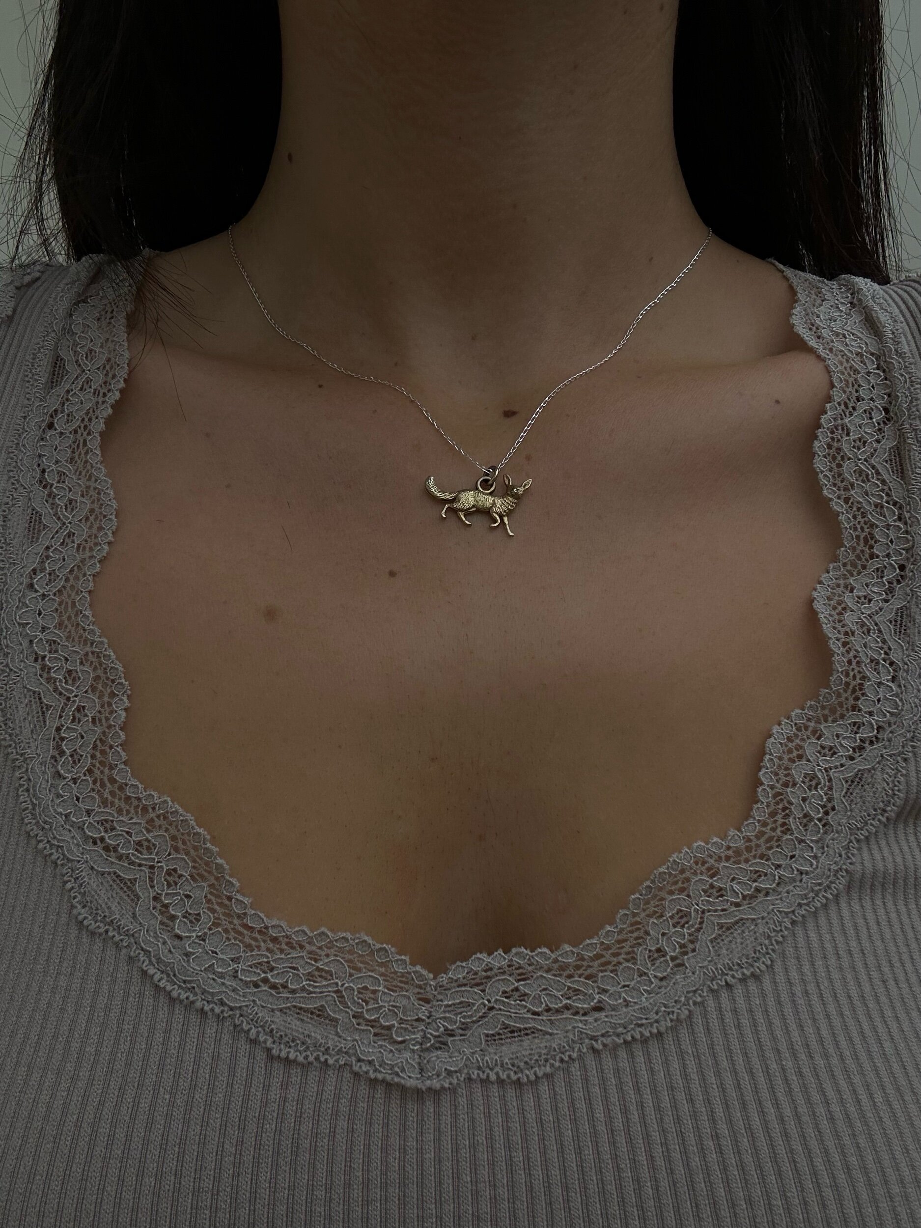 0317D269-505B-437E-AAEC-D7857F3B886F