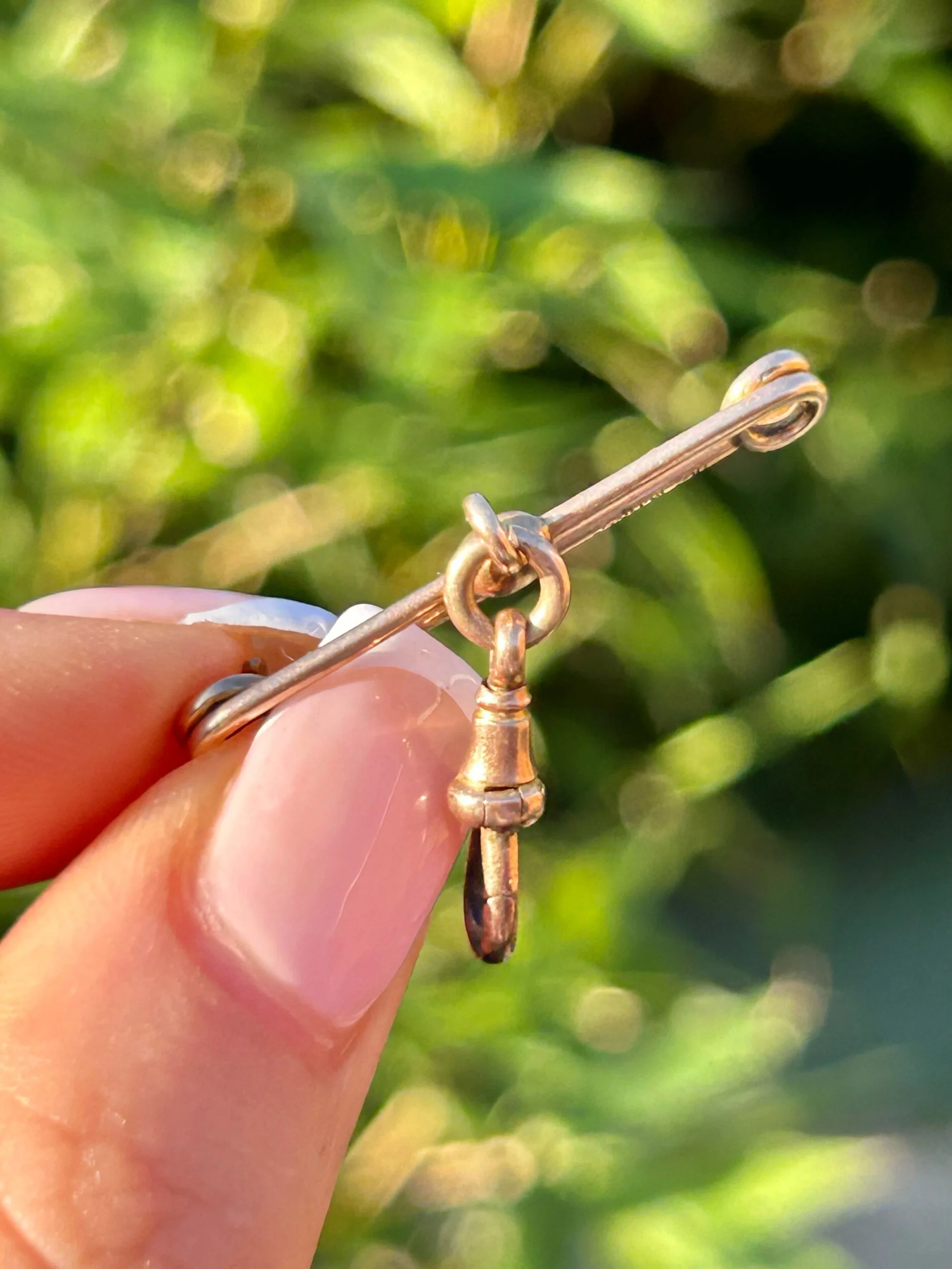 1B3D1DC5-EABA-42CD-9EA9-6DDEA19F80D9