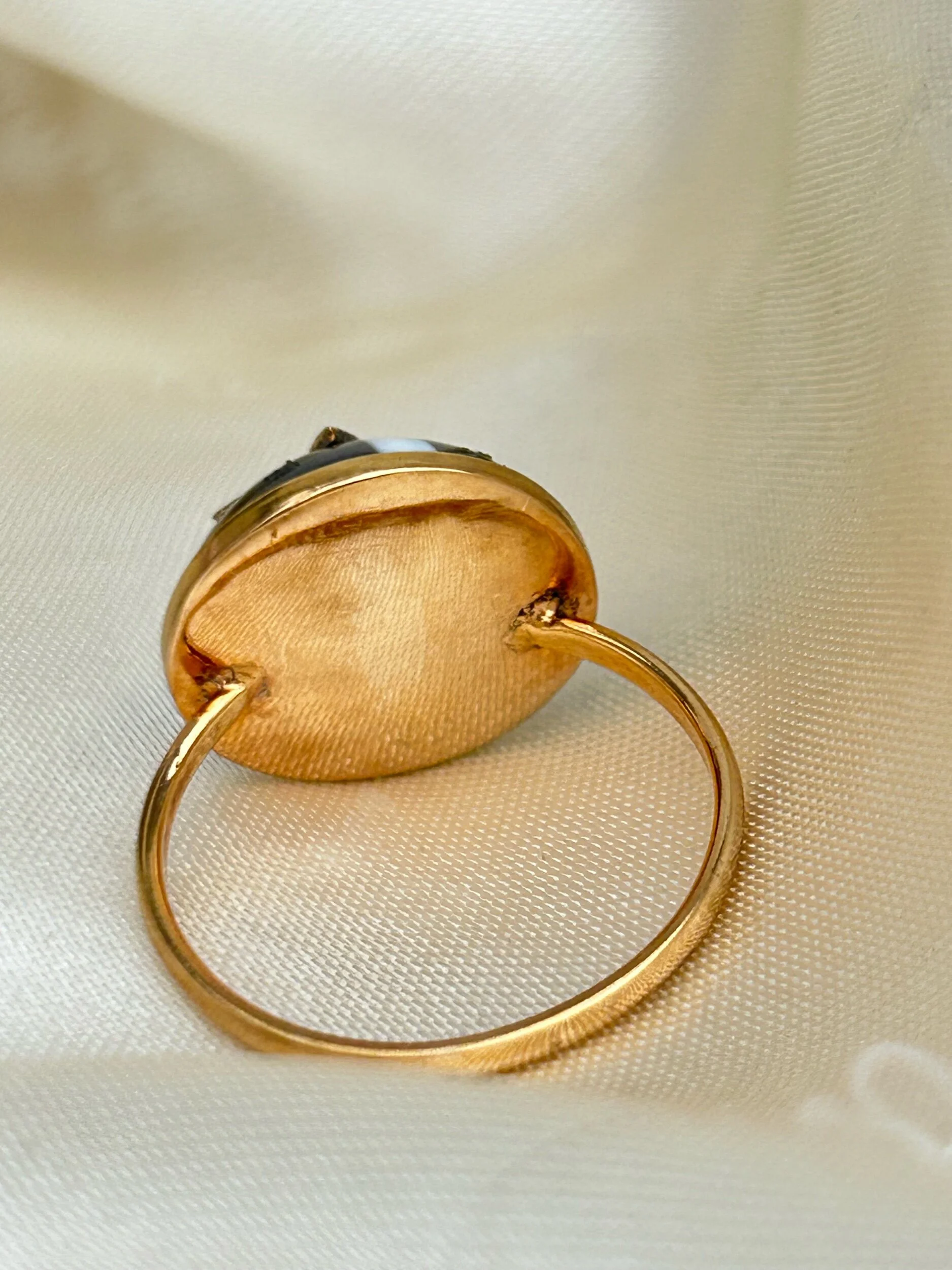 558E300B-FA49-46F0-B38C-18BF79A8F08E