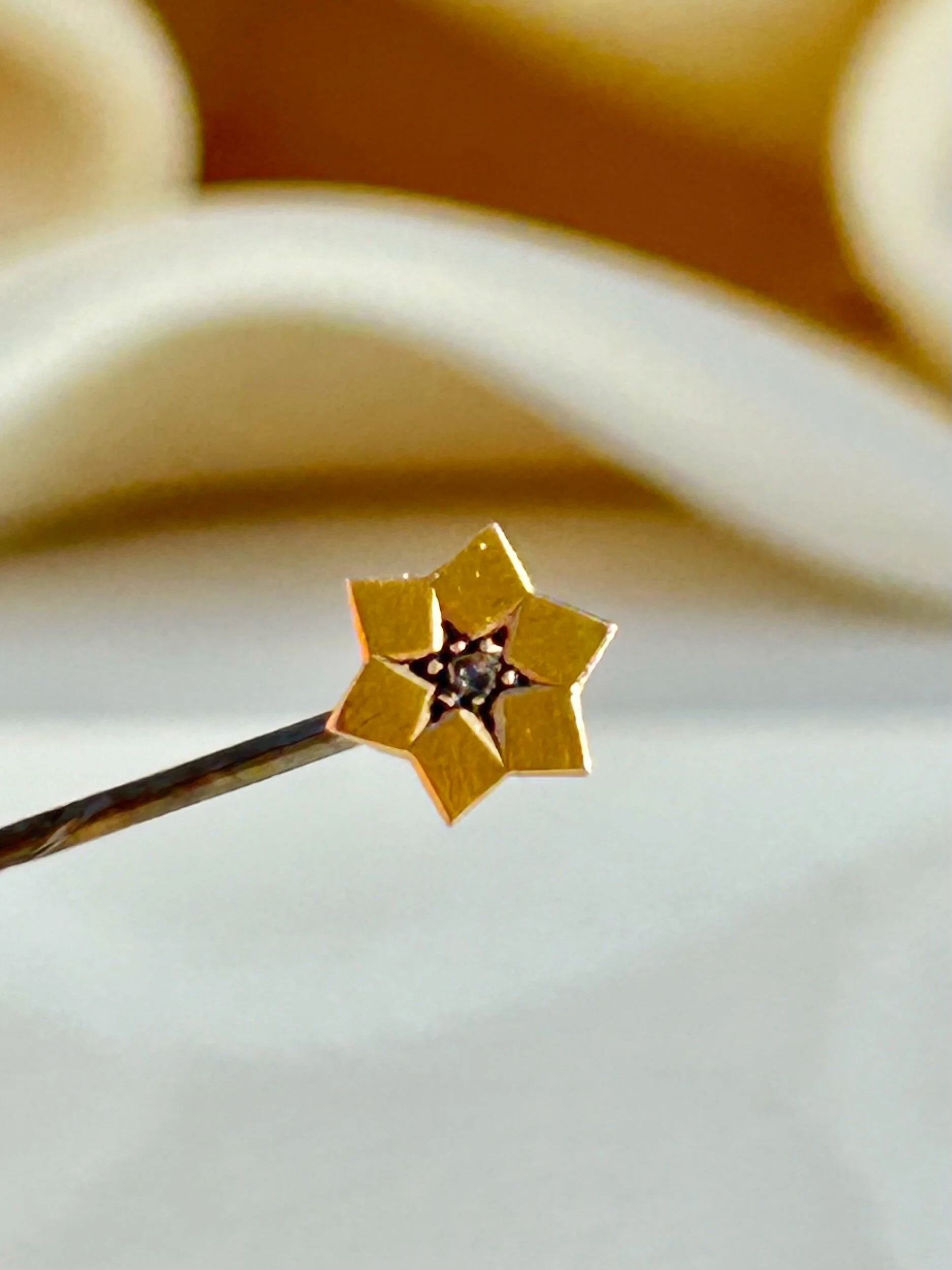 2A753404-1862-4A58-85E2-12B230DF9812