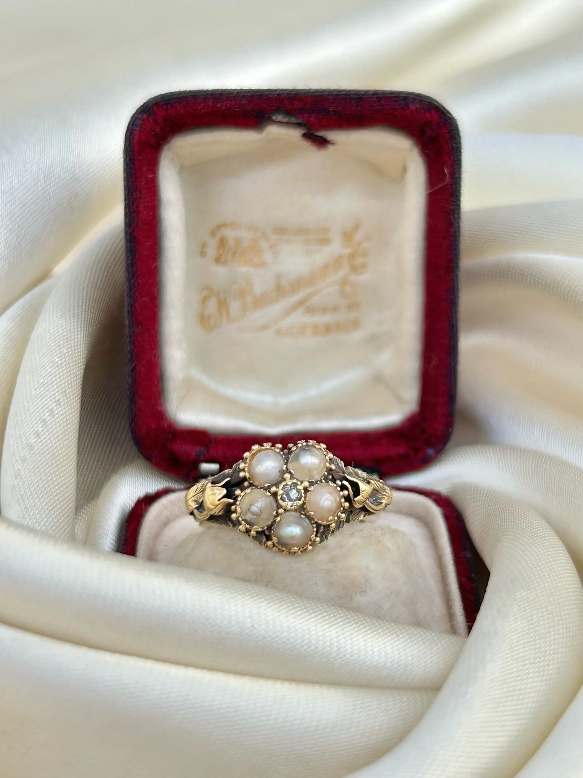 E25DAE62-476A-42E2-BC0B-278CA29E3EDA