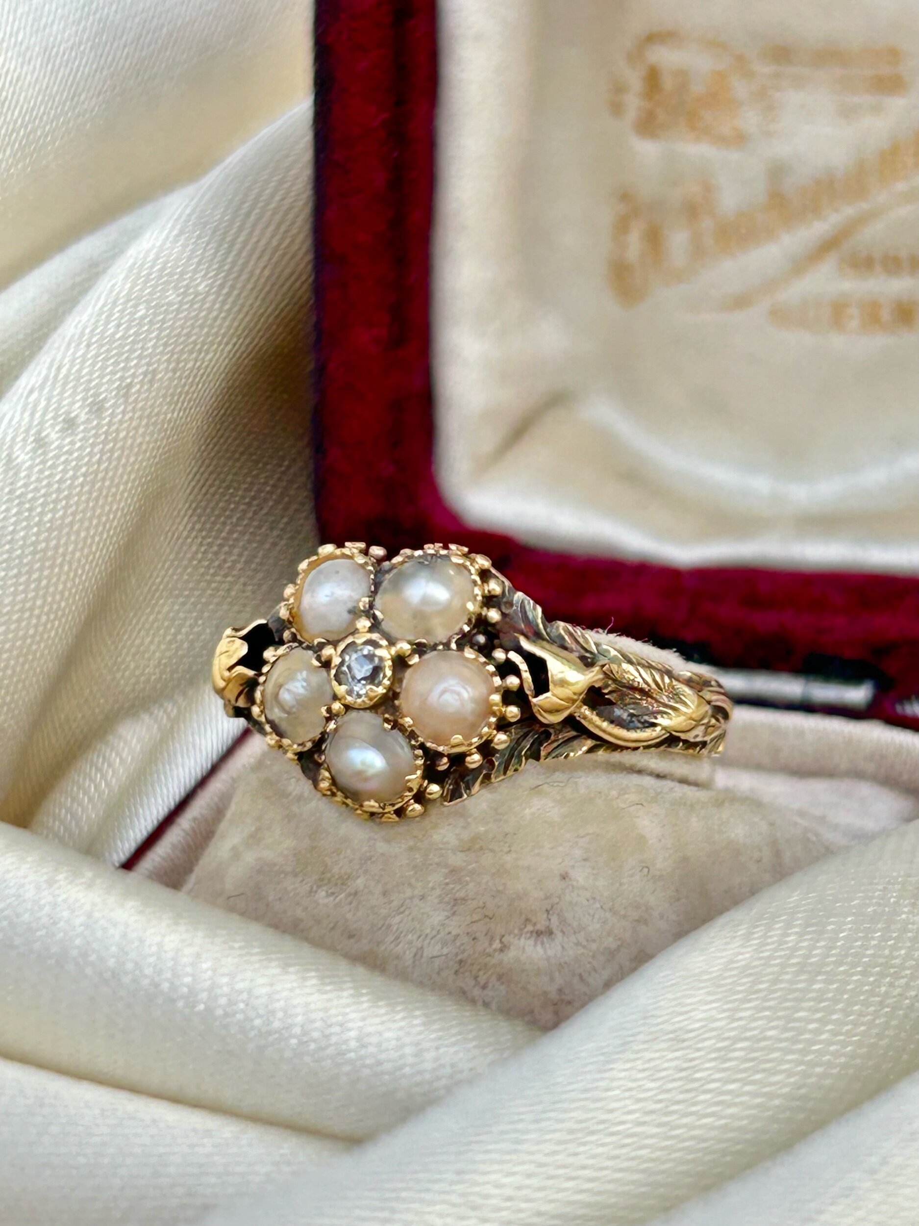 E9DA417C-96A3-4385-B911-975A8ECF485D