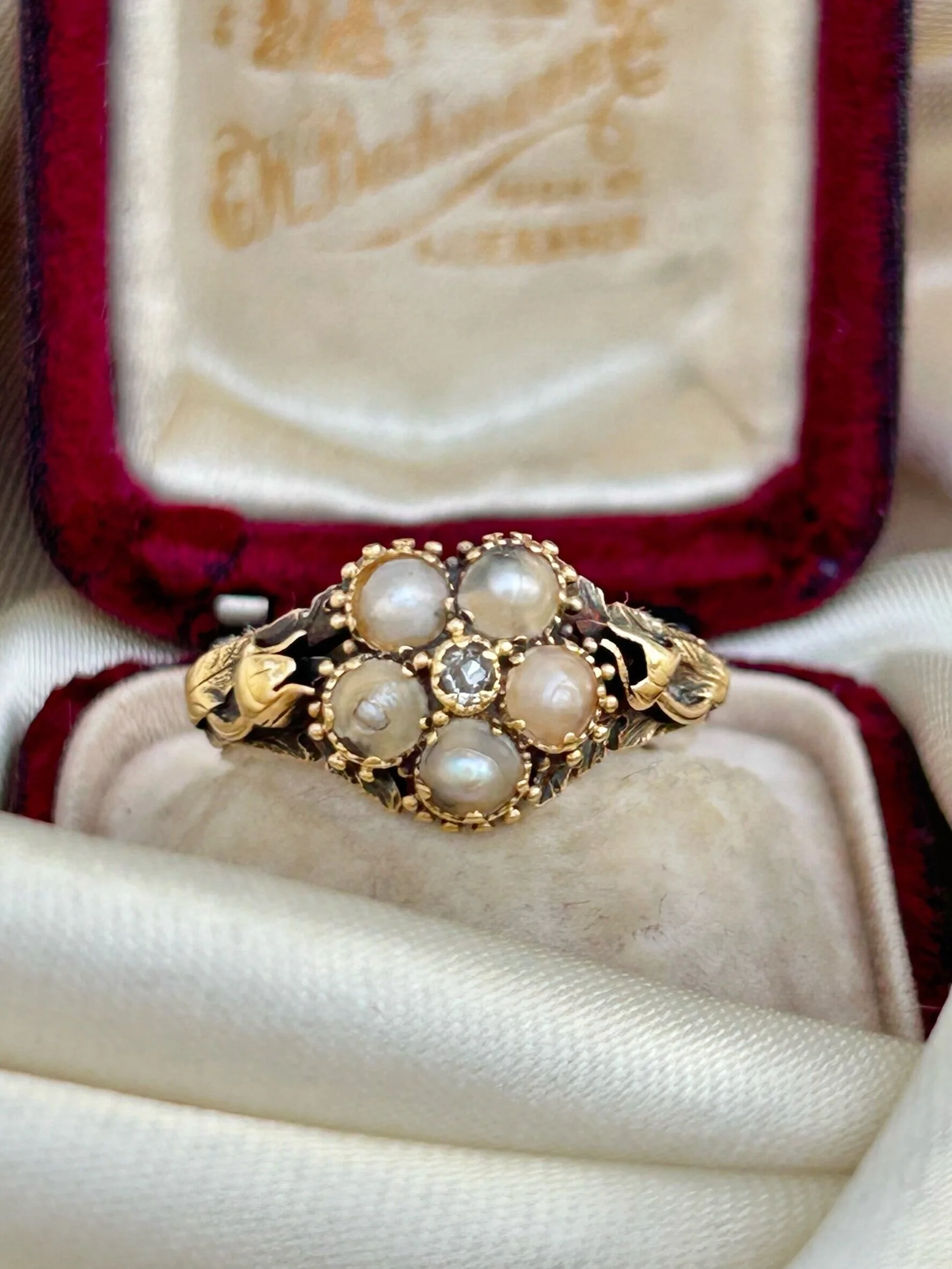 3DBE745C-75BF-47E2-A3EC-CA3486C5AA78