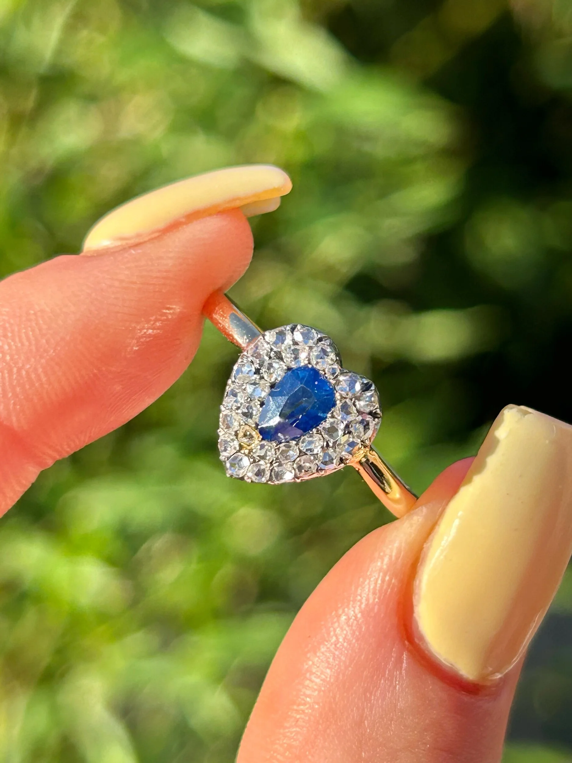 004F66C2-958A-45DD-A203-D65B0F7B80C4