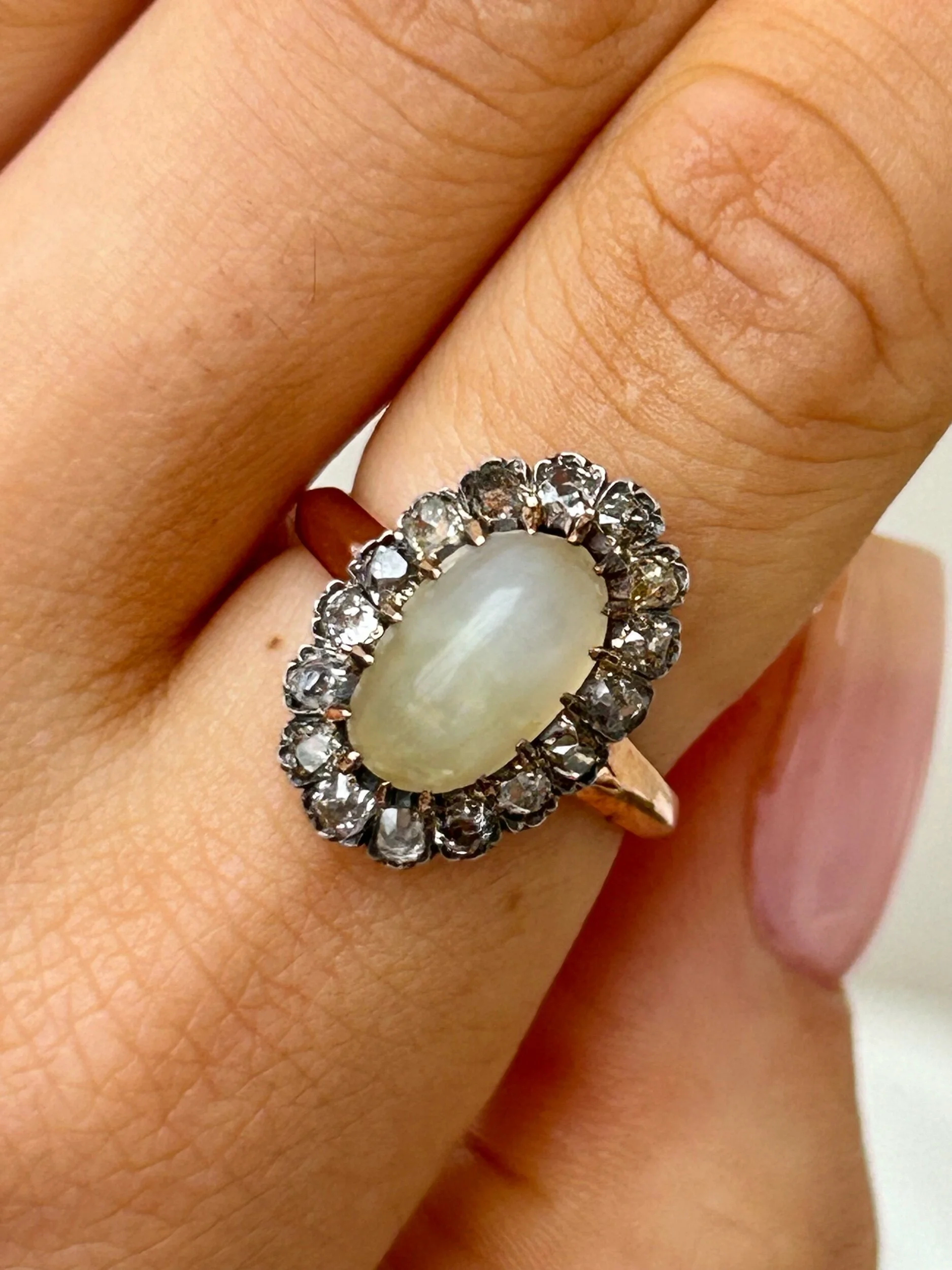 8CC53BED-0784-4679-AD06-737B4DBB6113