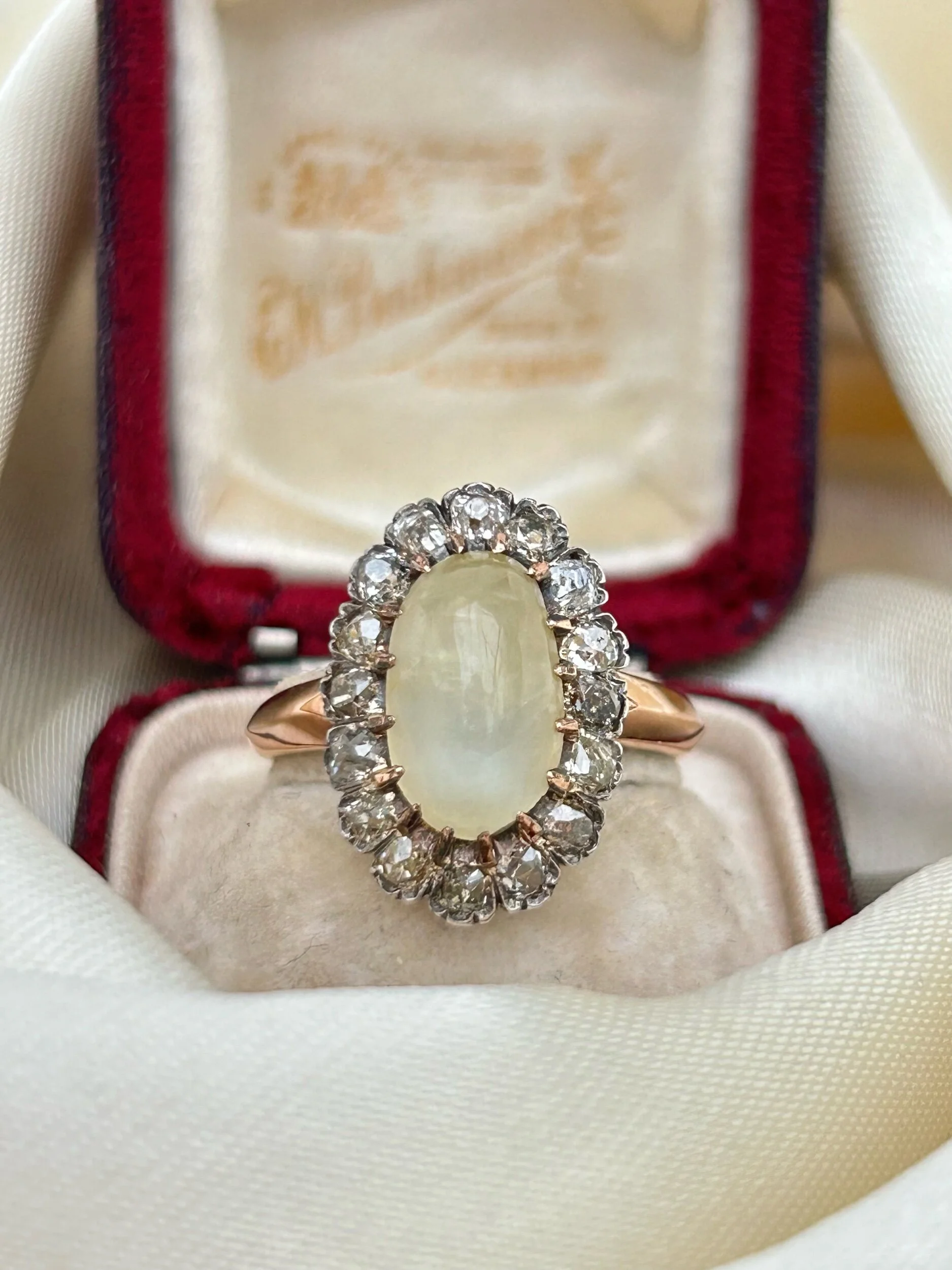 C1A09492-98B4-4167-95A8-0A0232141A6B