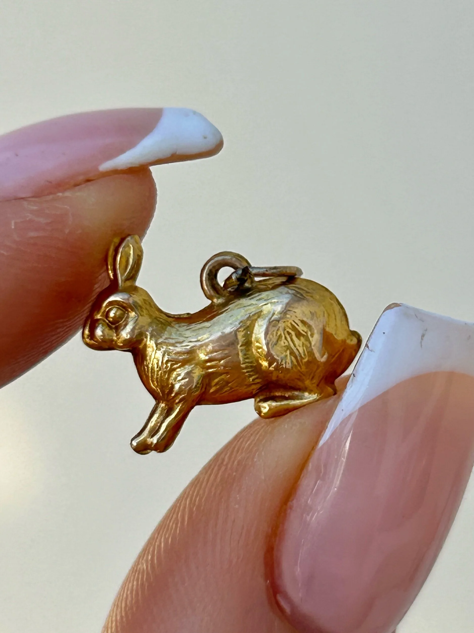 E1FA23BB-918D-4C8F-AC0A-034CD090B45D