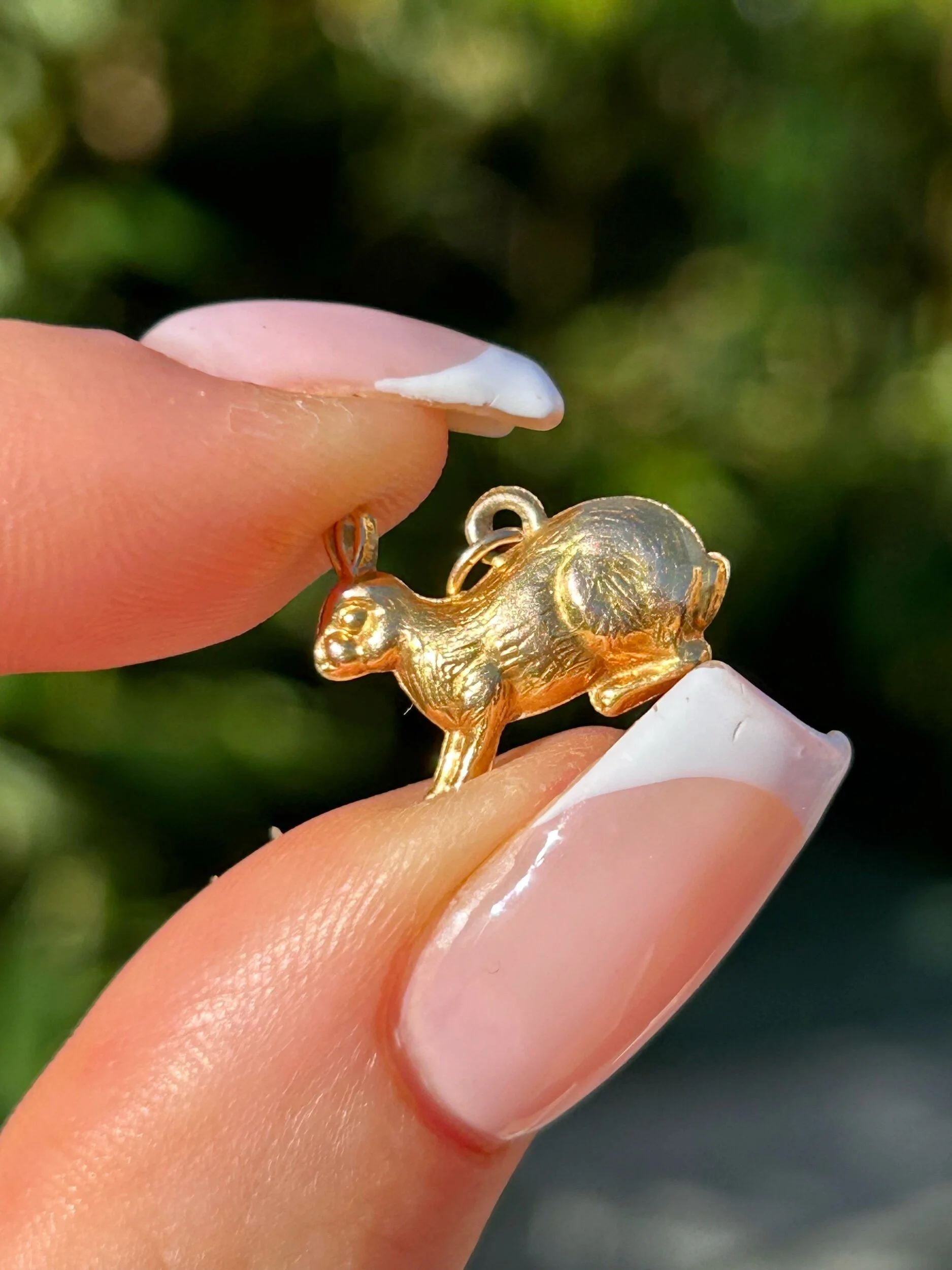 D650C371-DB84-4097-8D7E-E7946B2E6C7B