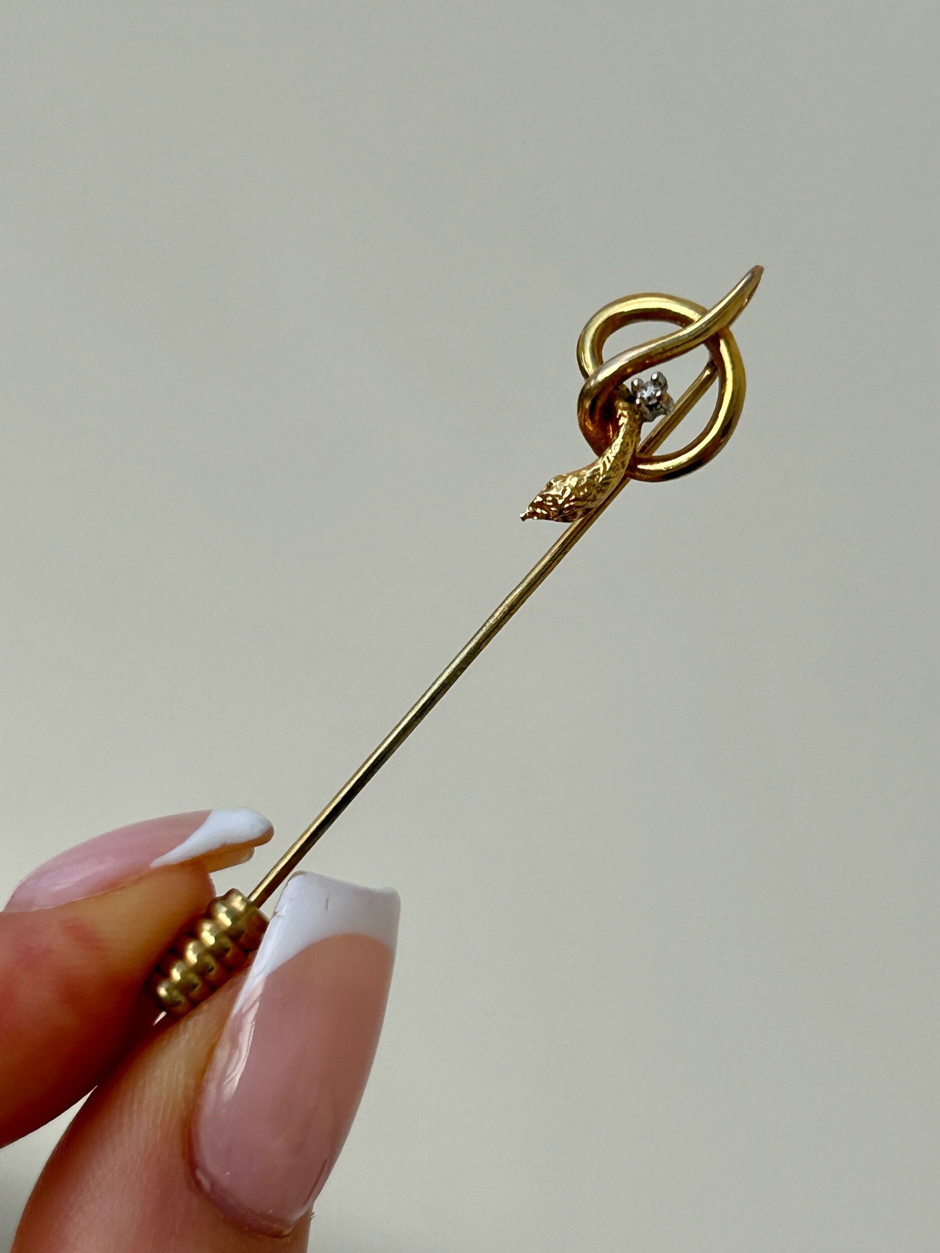 5695893B-D38C-4EBB-8EF1-A3B1F6CCD584