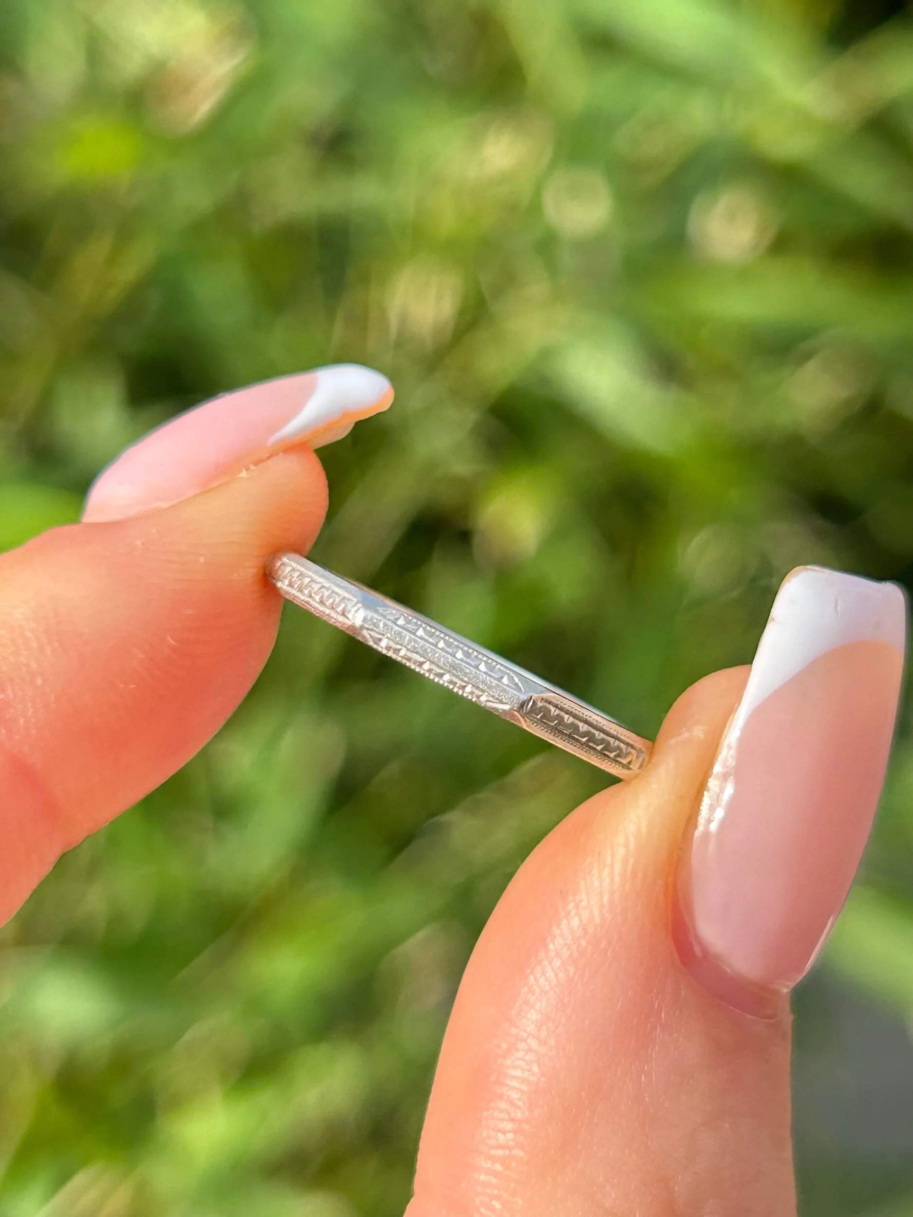 959D8D65-C936-4F34-8602-21880BA7F907