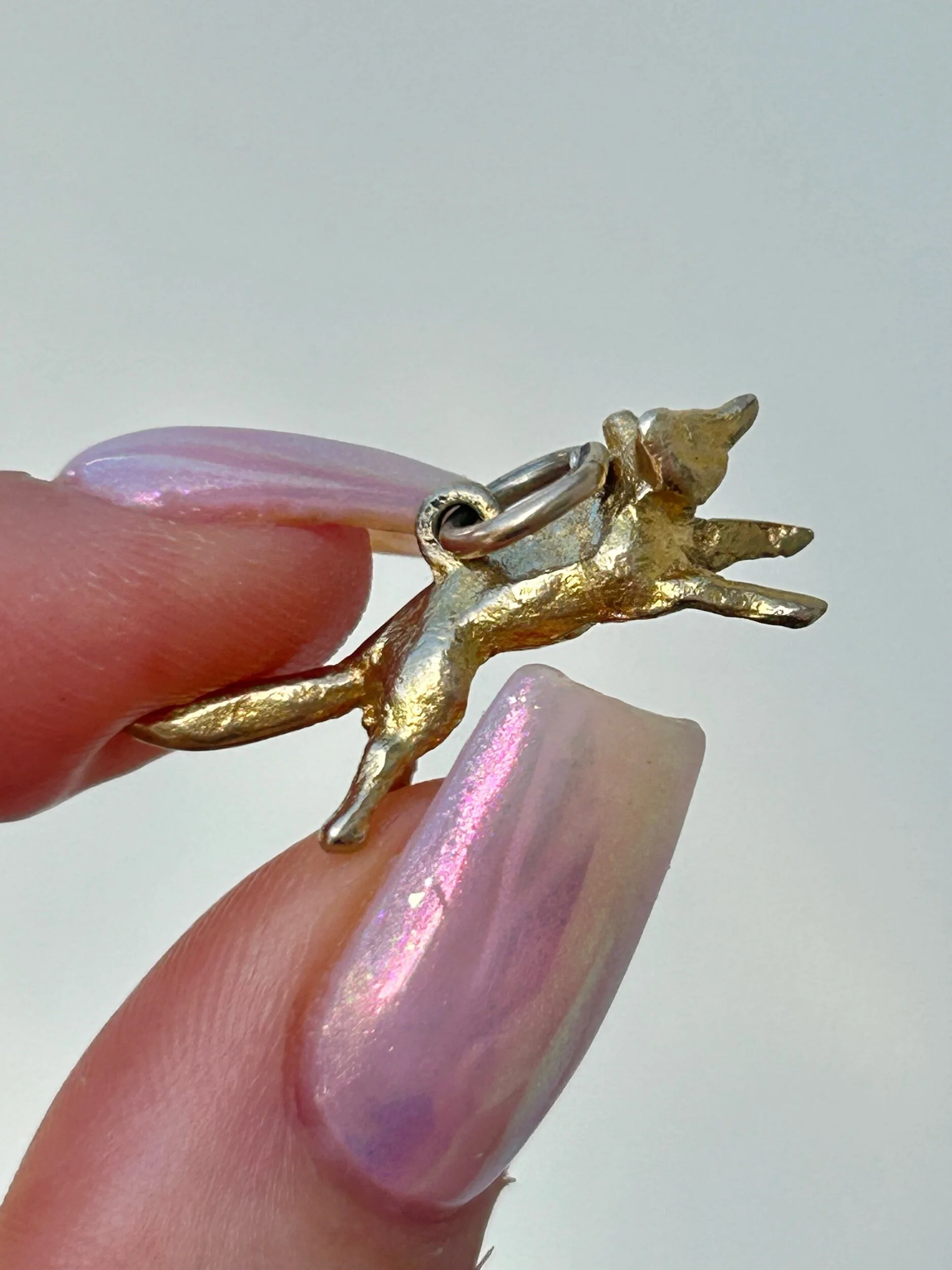 25076666-C535-4F19-8211-292CB13DD86D