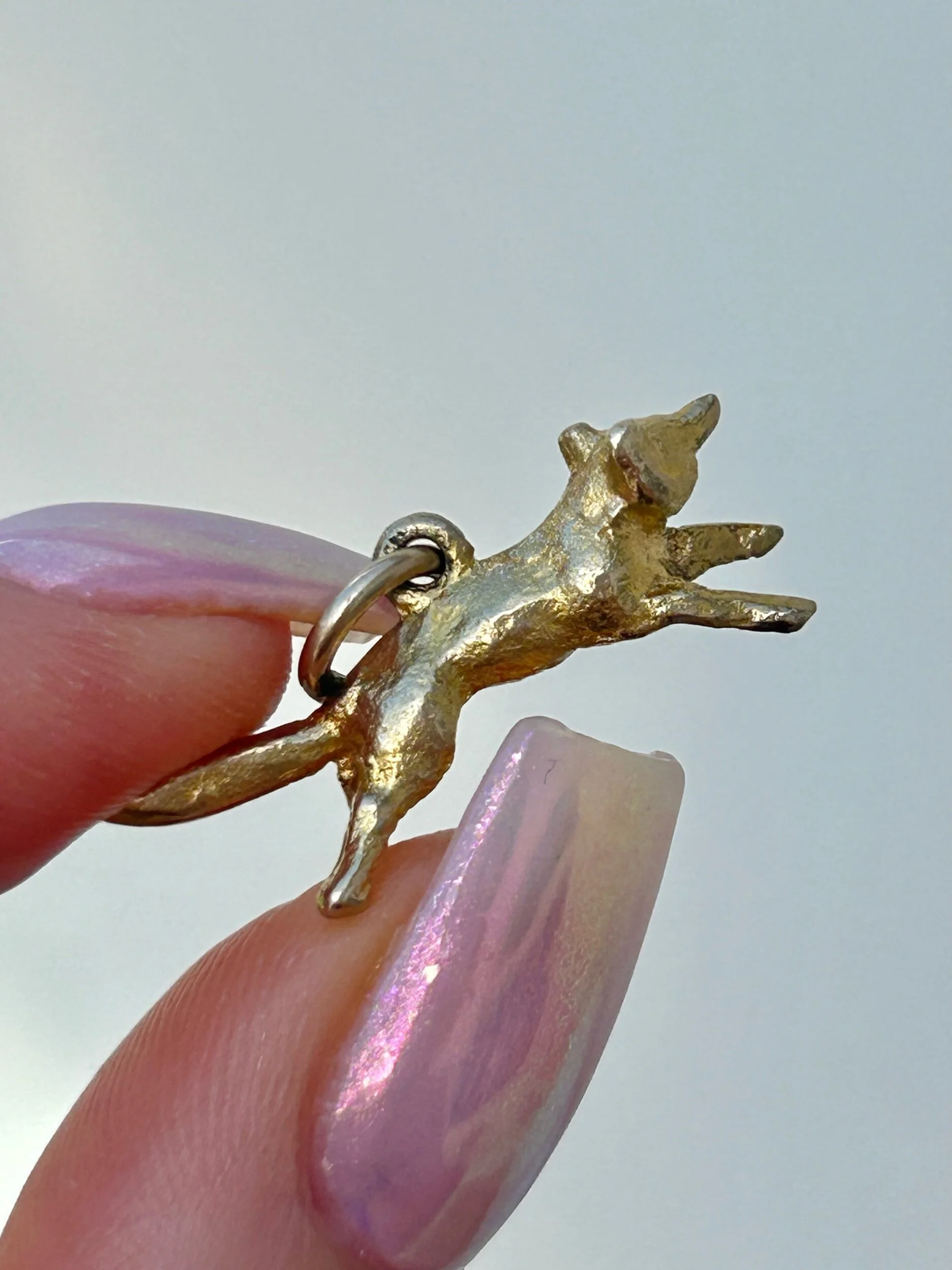 ABFBDC40-CE1A-48AB-BB56-DB9E720560C6