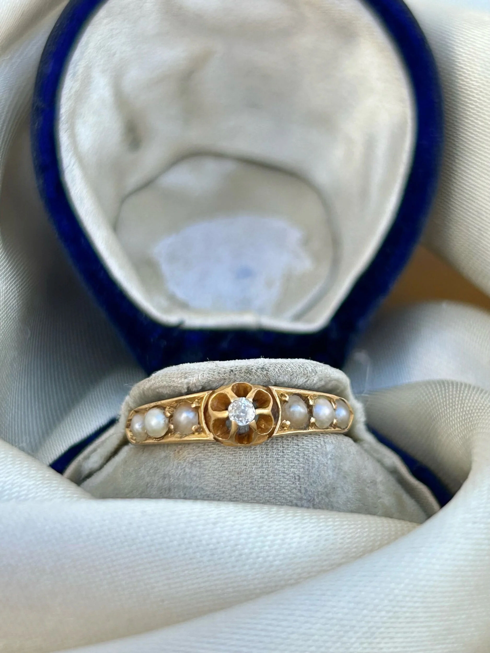 E5D8DDEA-446D-419D-88A9-6F7EE29EB130