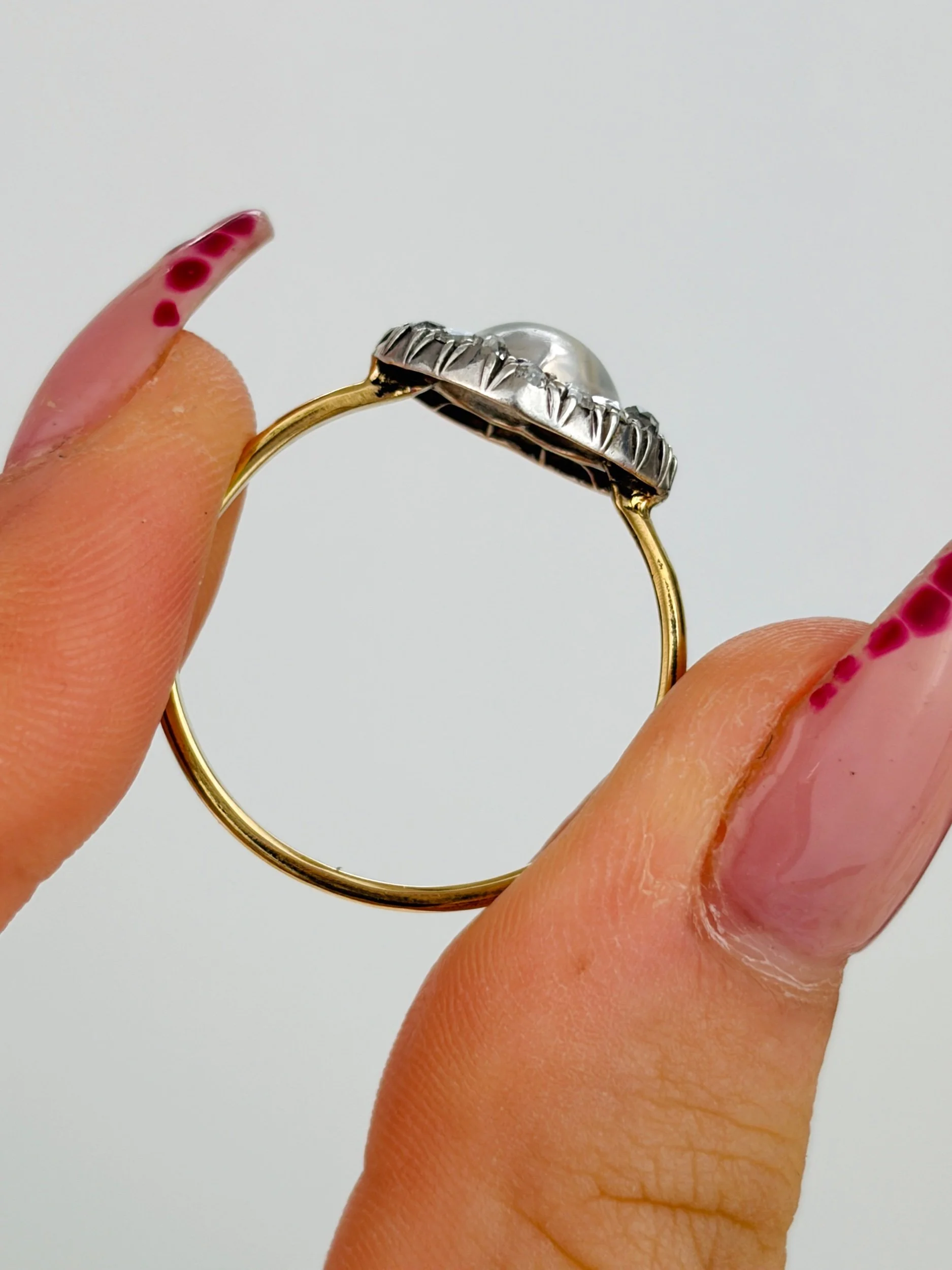 3943B750-290E-4062-BE30-94036E26AED8.jpeg