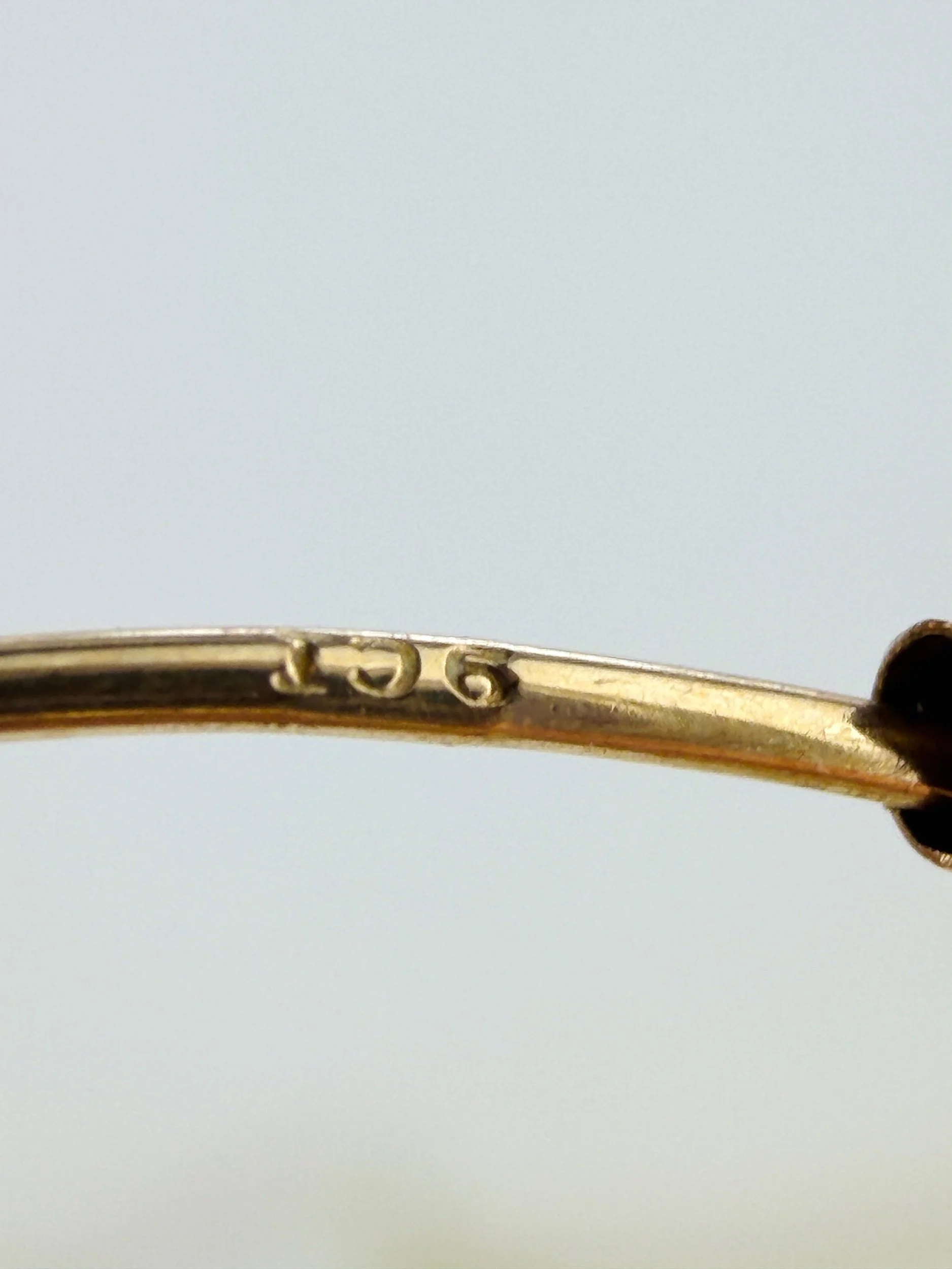 08C8F154-E650-4CCC-AE31-B10F2DAEBB67.jpeg