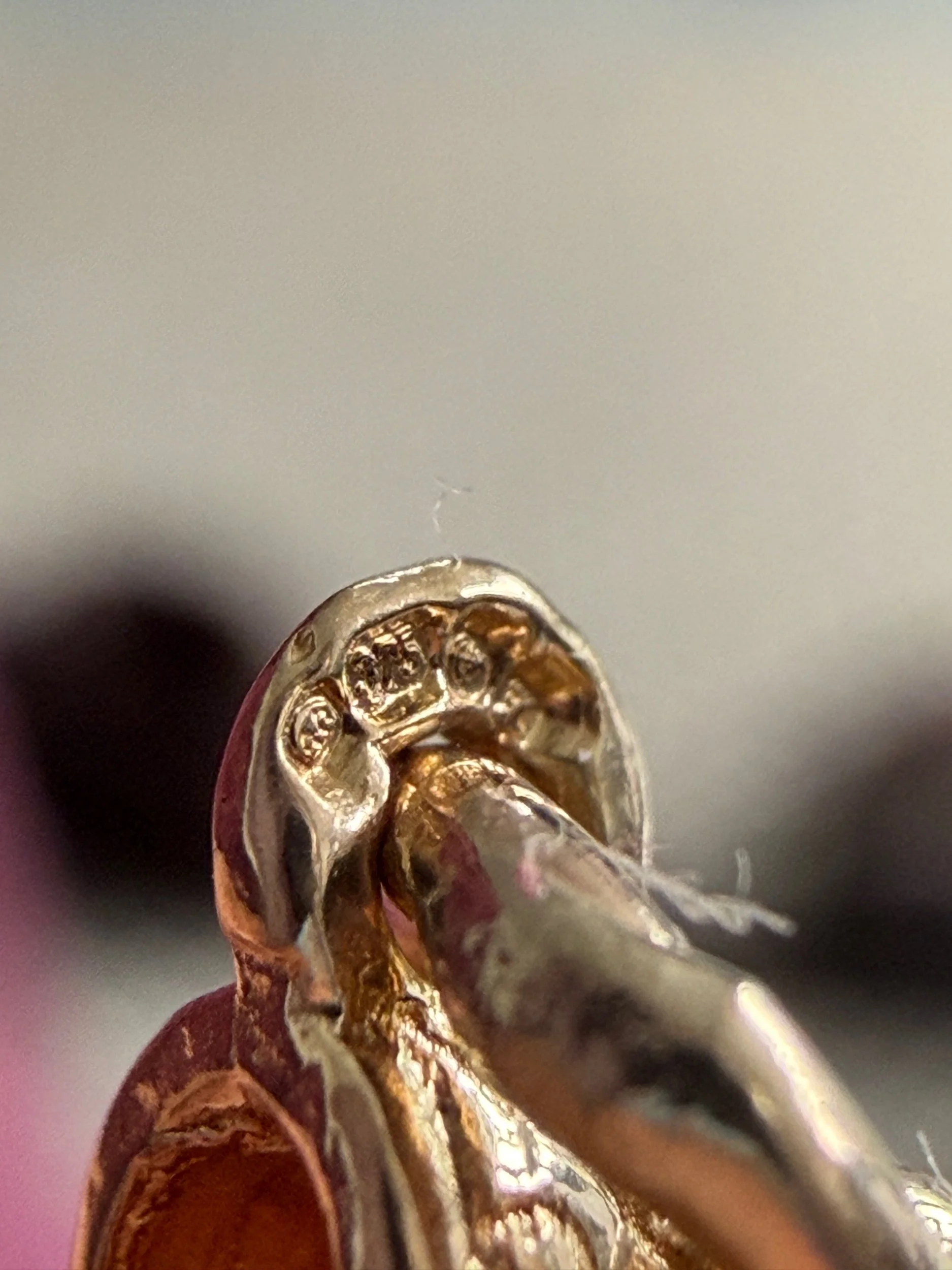 10240358-62B8-49BE-8C1C-F0B160A05AEF.jpeg