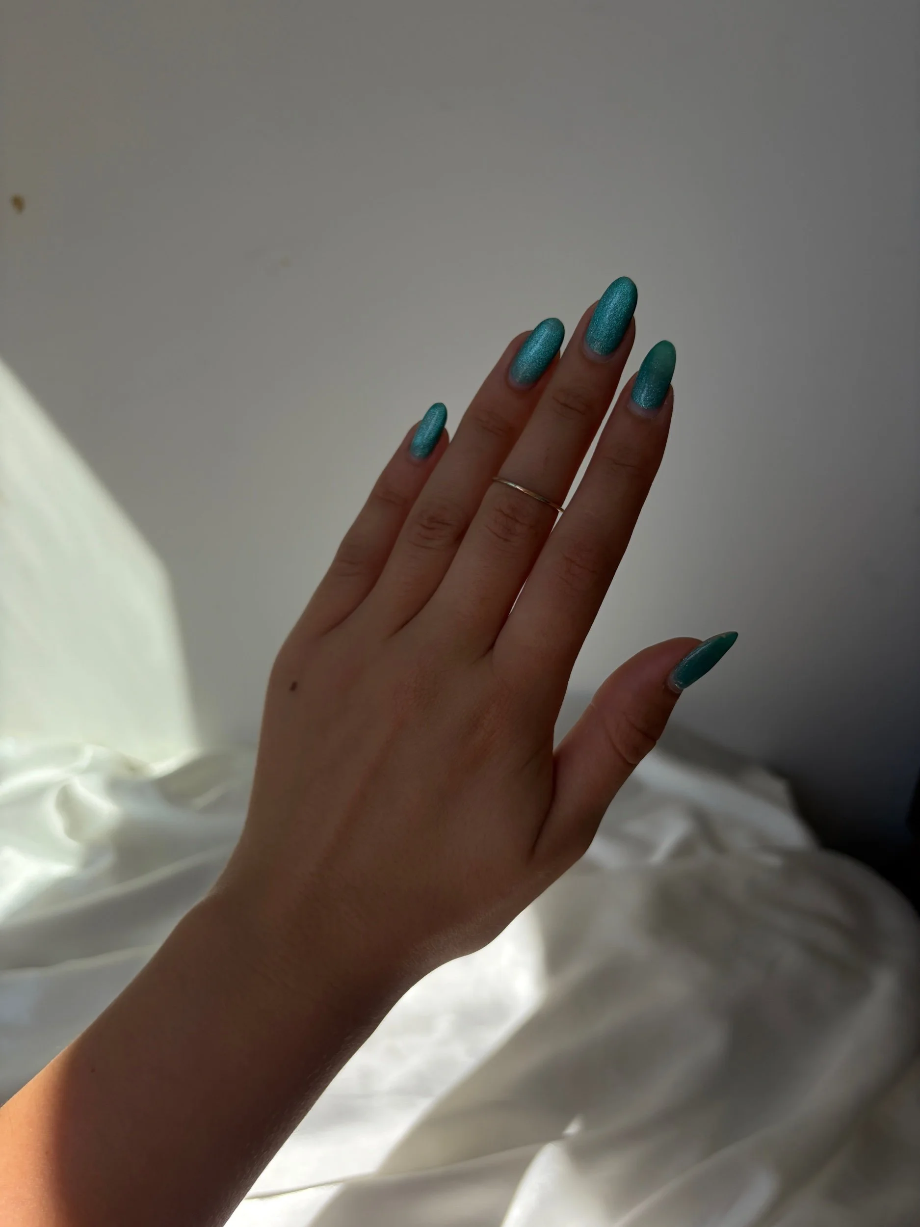 7987F93C-9F0E-4566-8480-3AA3D1001E62.jpeg