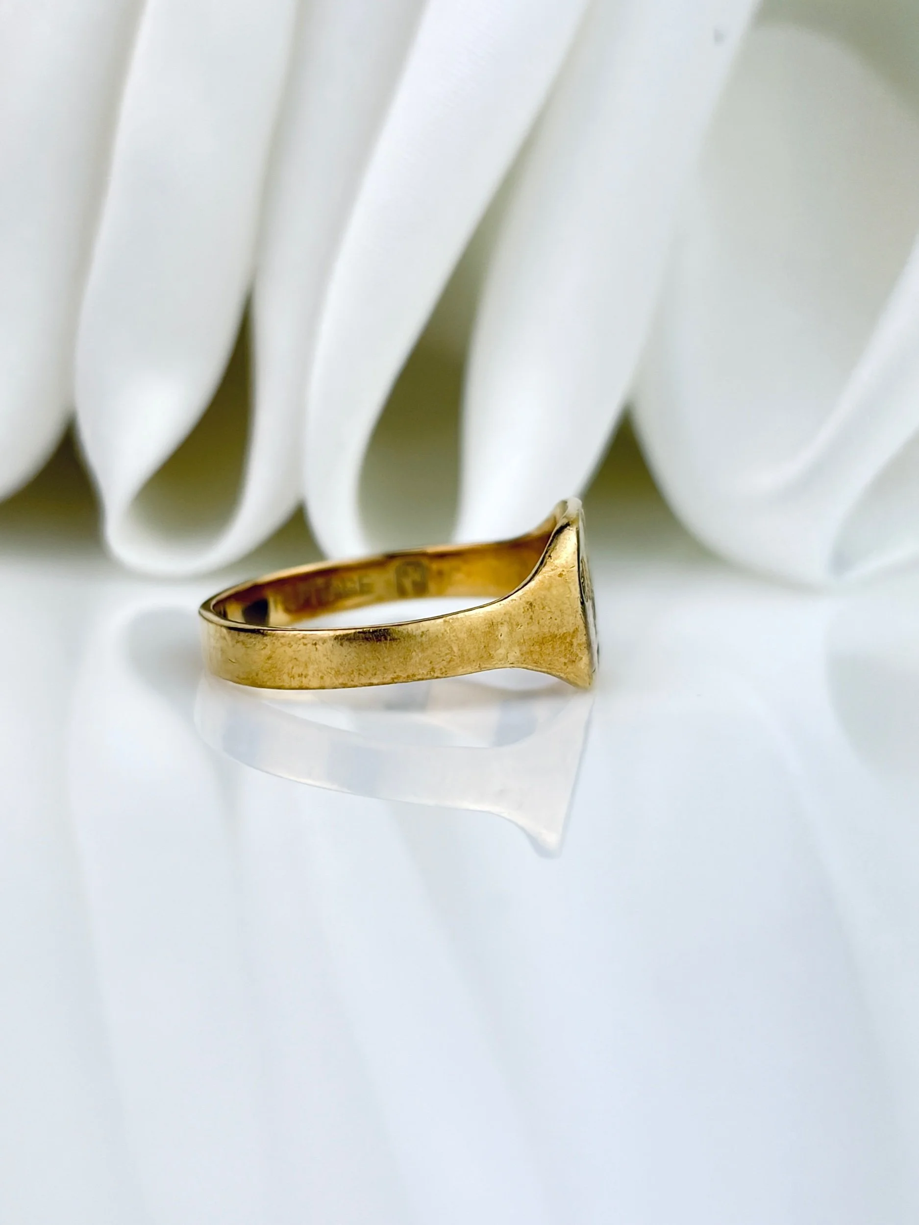 3A110938-6BFD-4BB4-BDFD-B431CF5A5B4A.jpeg