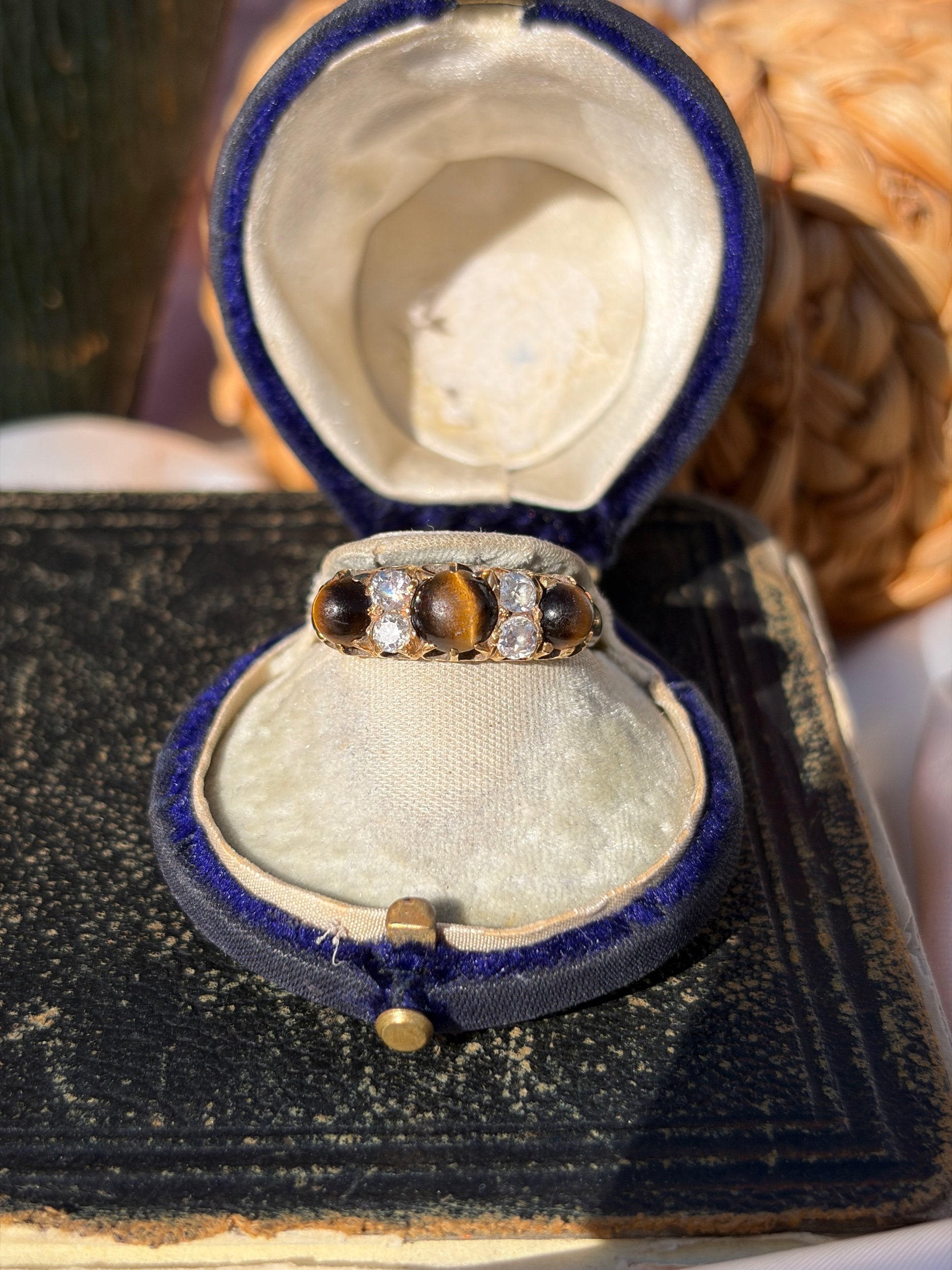 FCD3A357-D4E8-4104-A37E-444175A550C5.jpeg