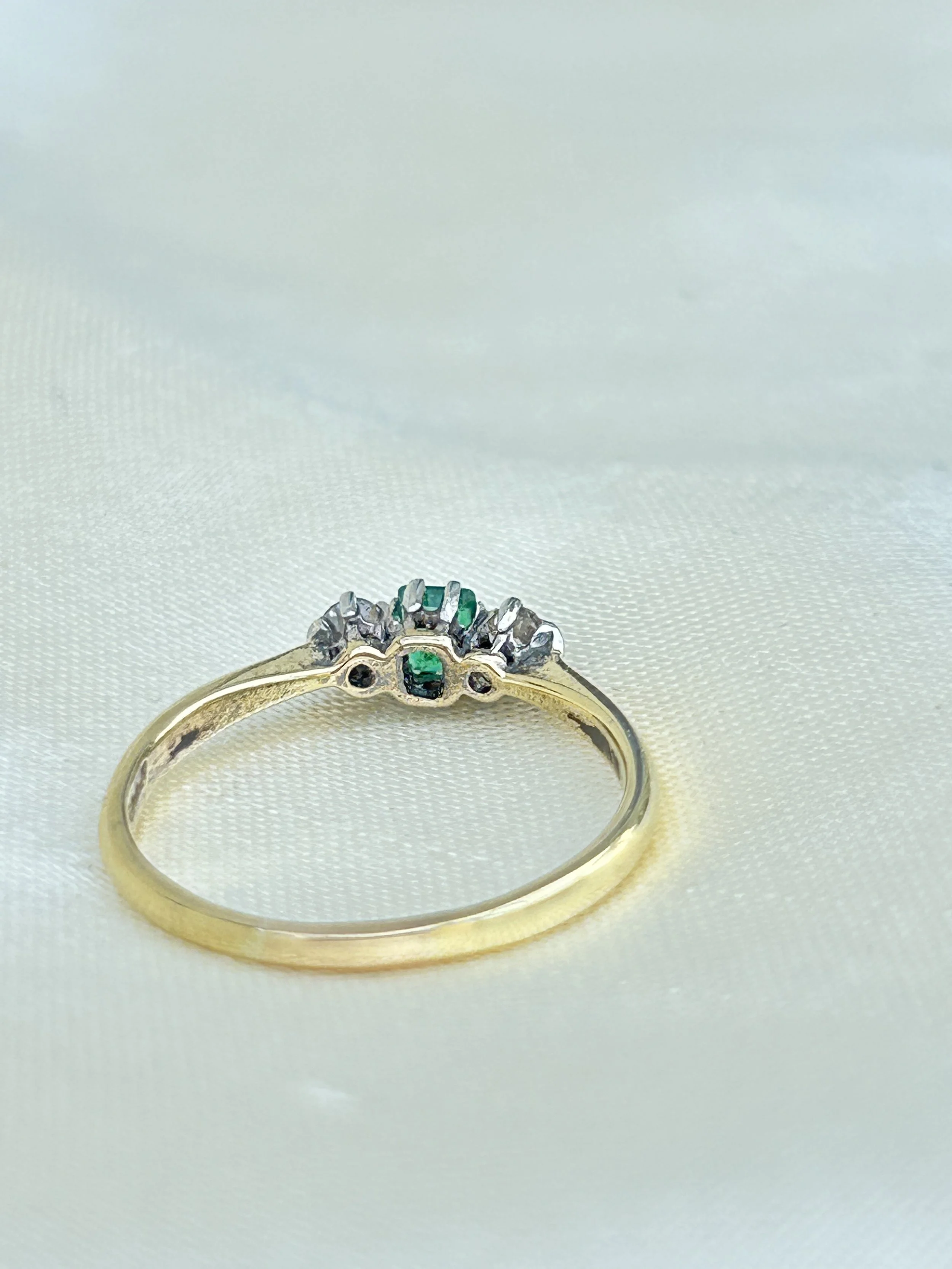 IMG_7961.jpg