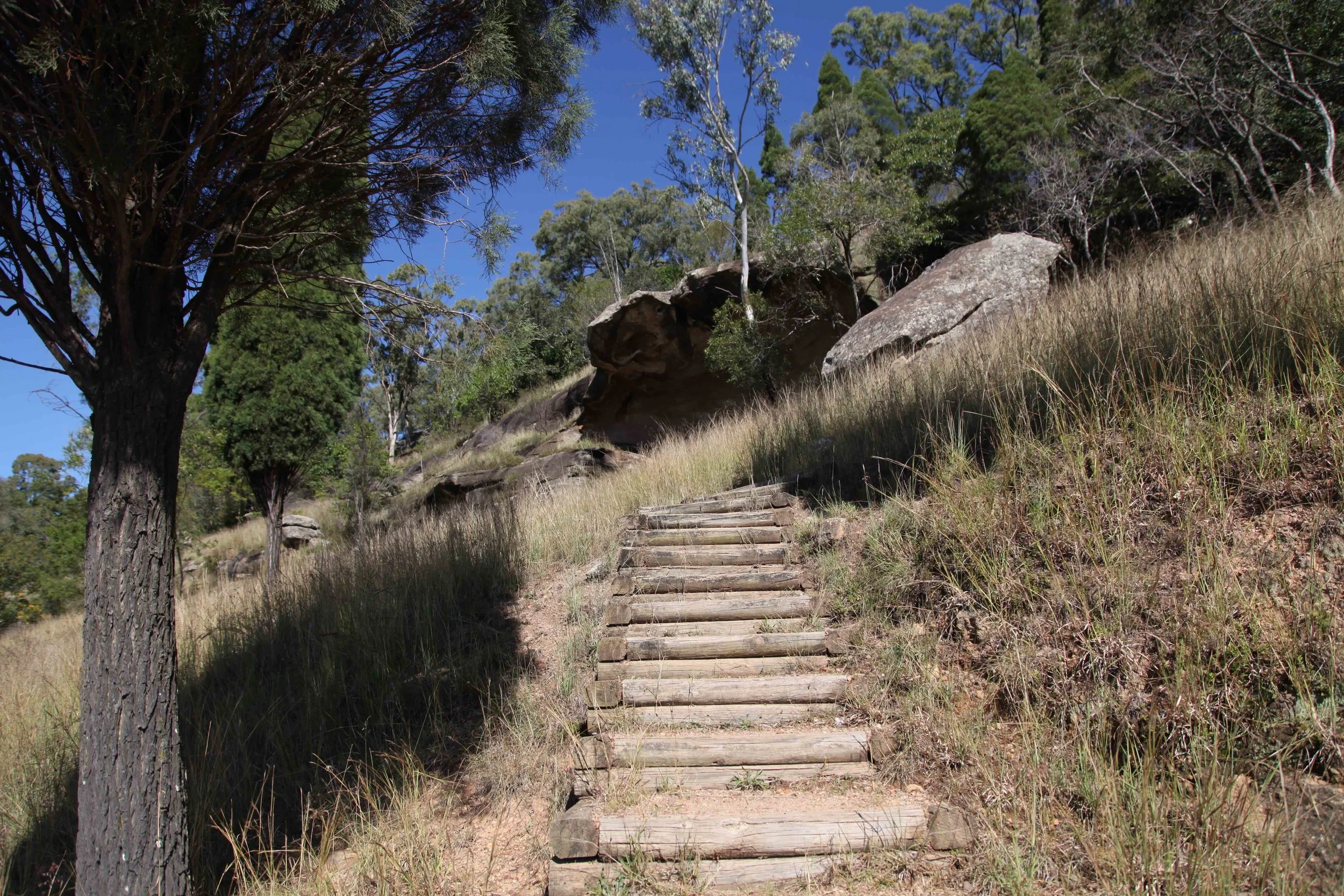 The walk up to Baiame Cave at Milbrodale in the Hunter Valley.