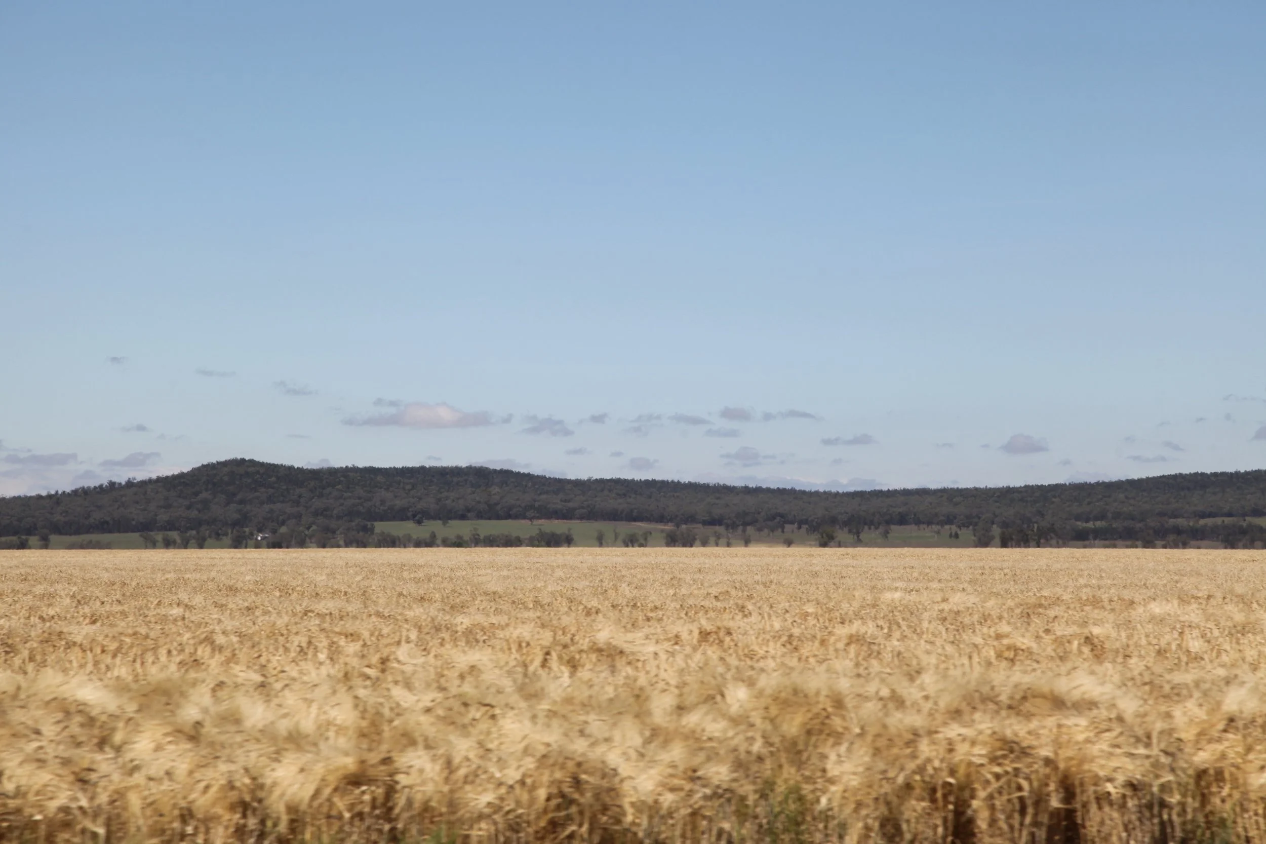 The Liverpool Plains.