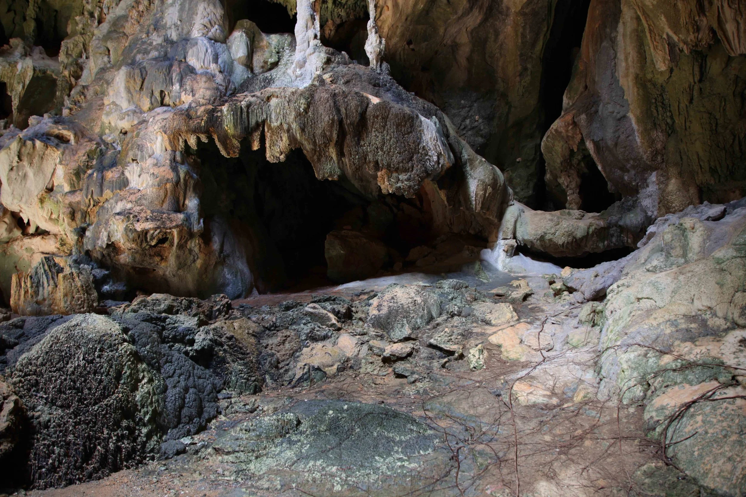 Inside Royal Arch cave. See the sprawling tree roots in the bottom of the frame?