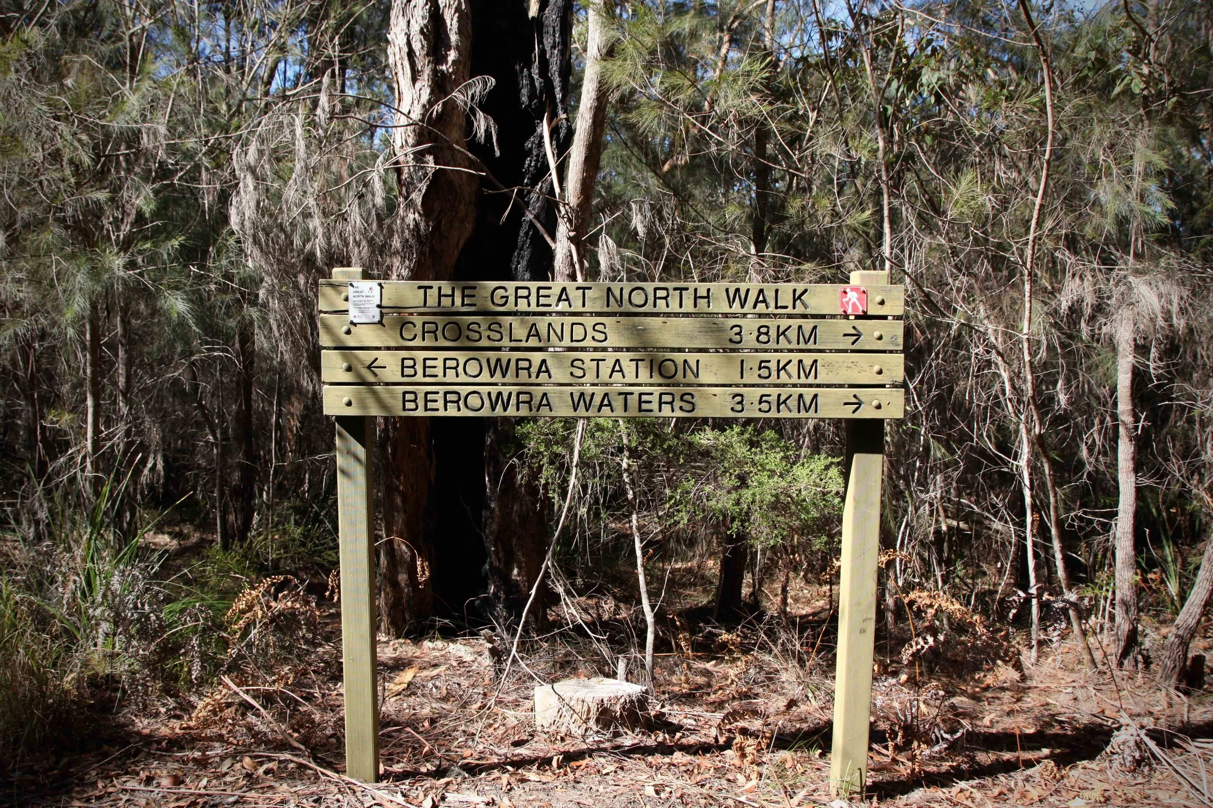 The Great North Walk runs all the way from Sydney to Newcastle. The stretch of the Great North Walk between Berowra and Mount Kuring-gai starts a short distance from Berowra train station.