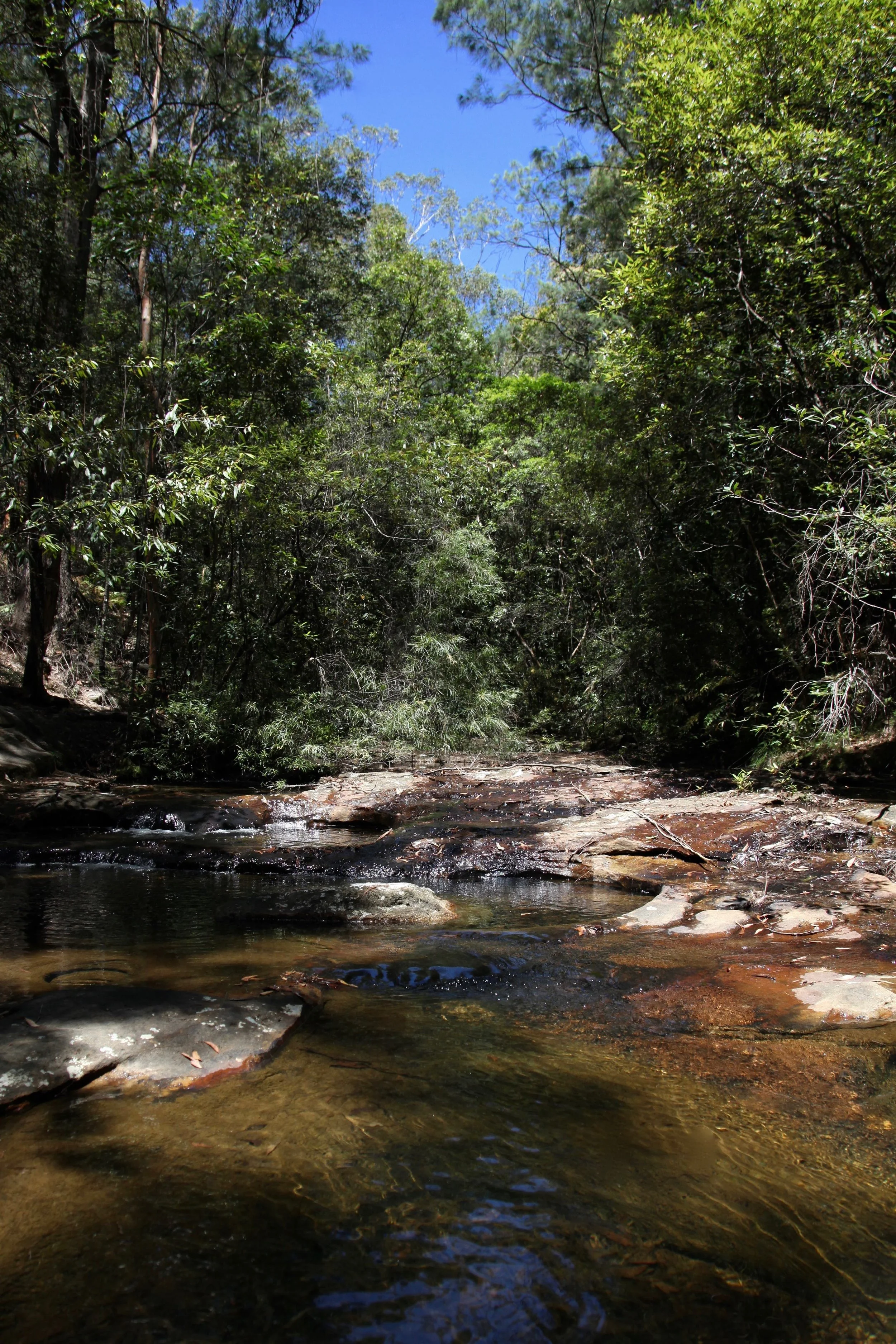 Gully reward — rock pools and tiny rapids.
