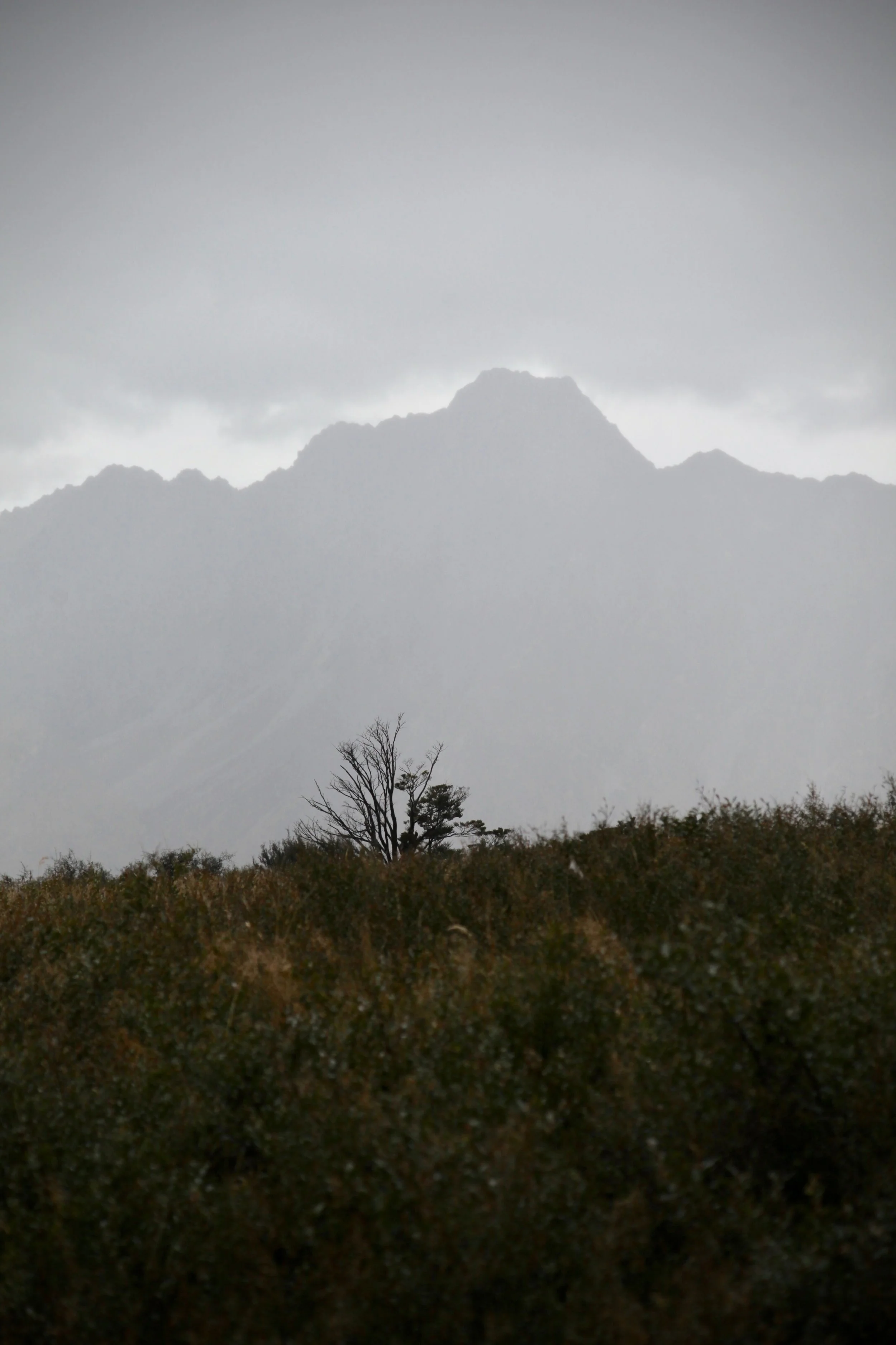mt-cook-np-rain.jpg