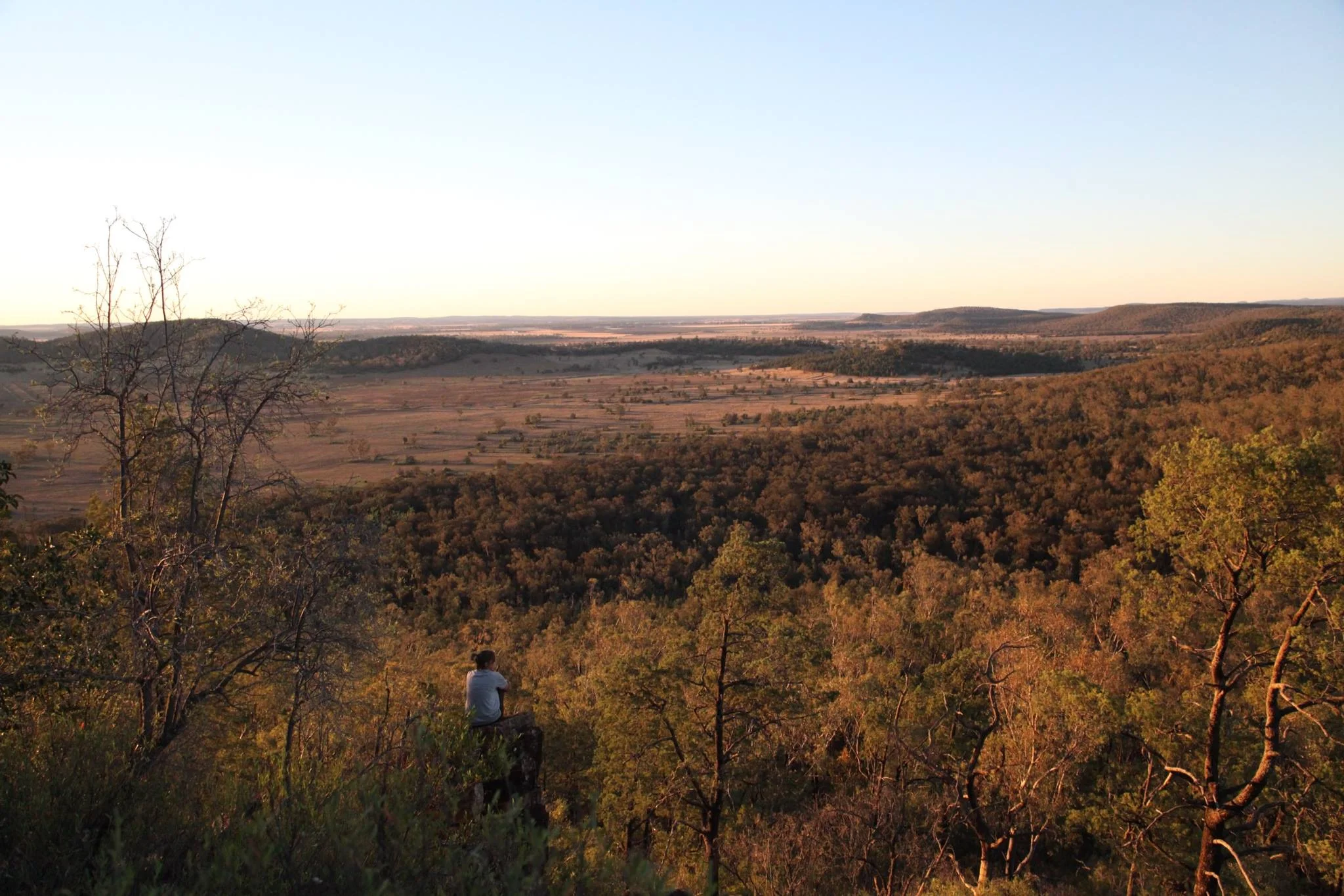 Looking out over the edge of Leard Forest and the farmland that surrounds it.