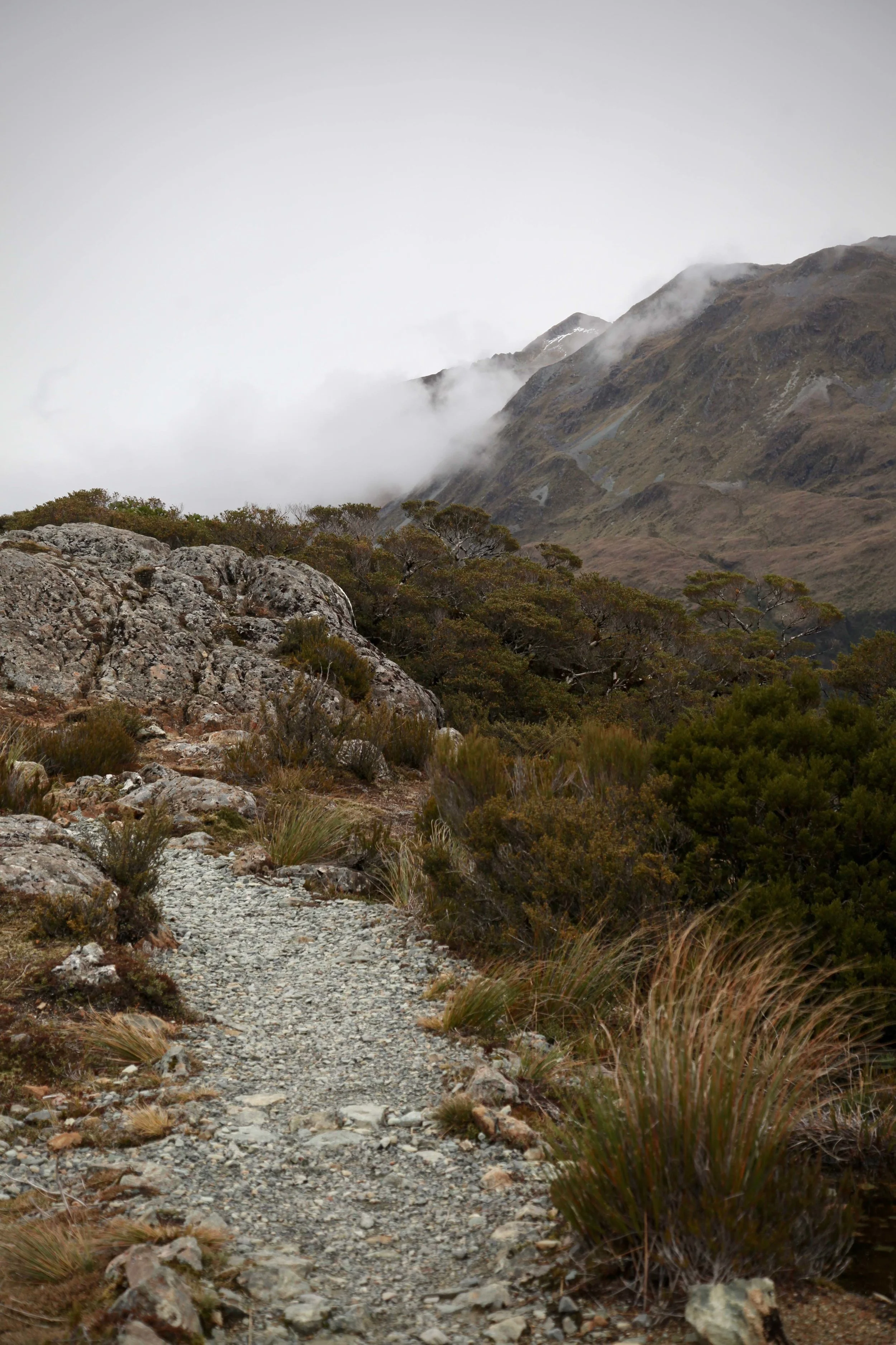 key-summit-alphine-walk.jpg