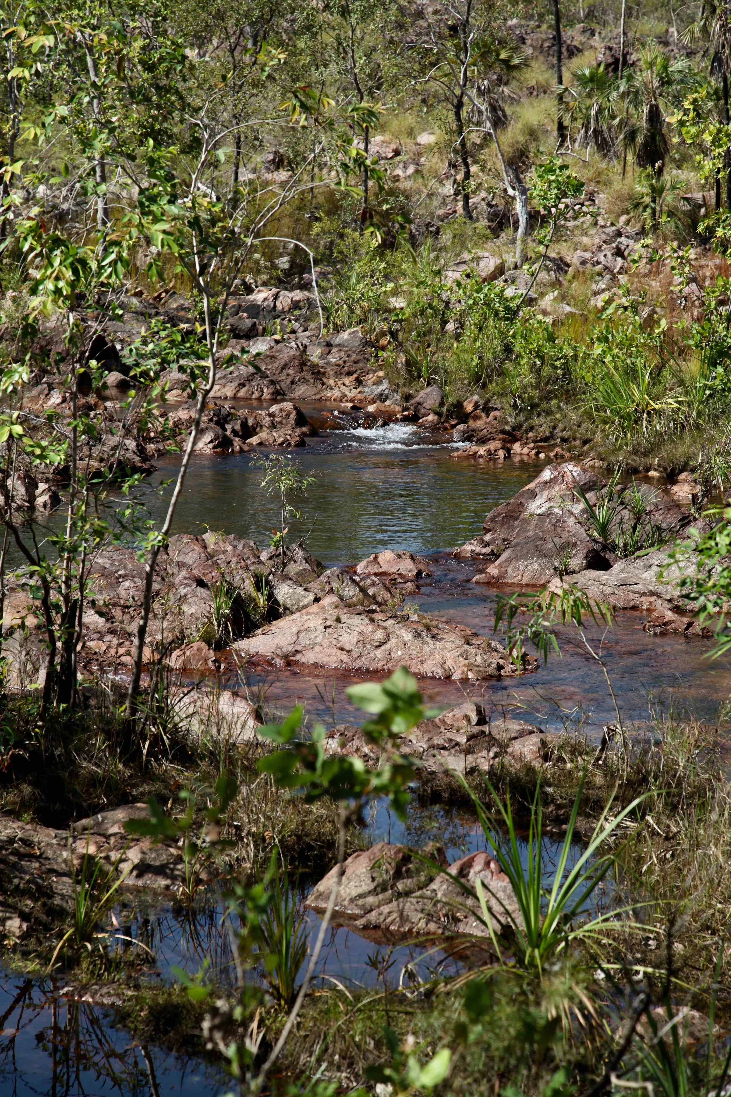 litchfield-national-park-water.jpg