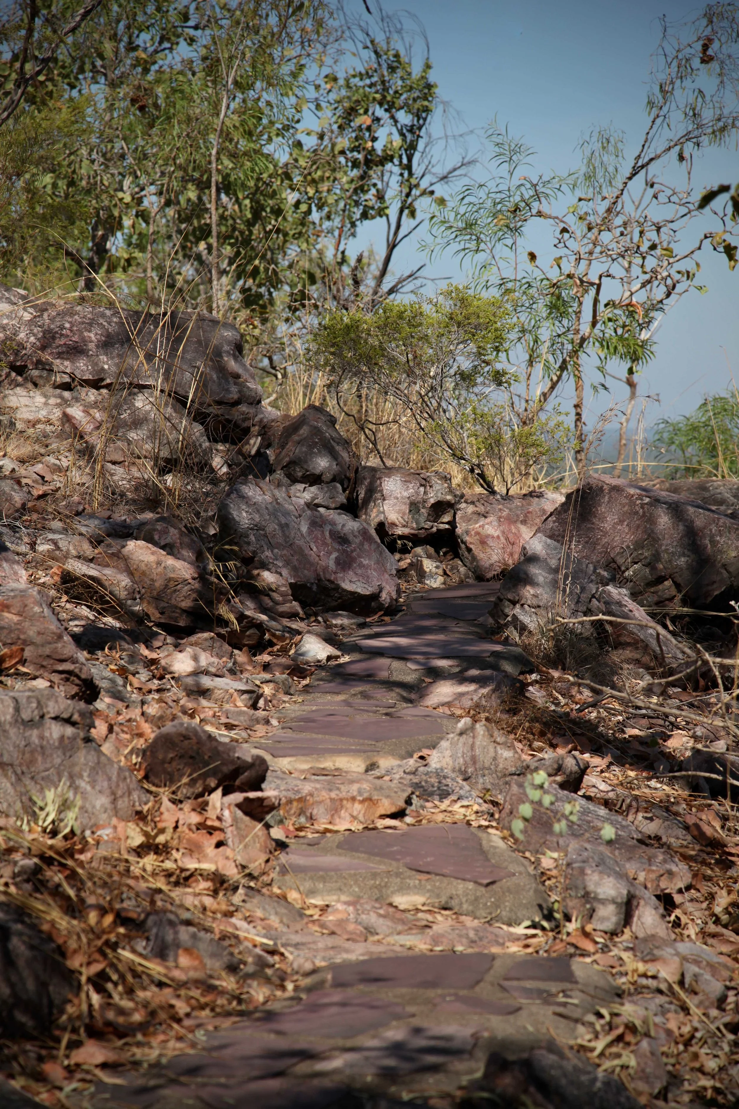 litchfield-np-wangi-walk.jpg