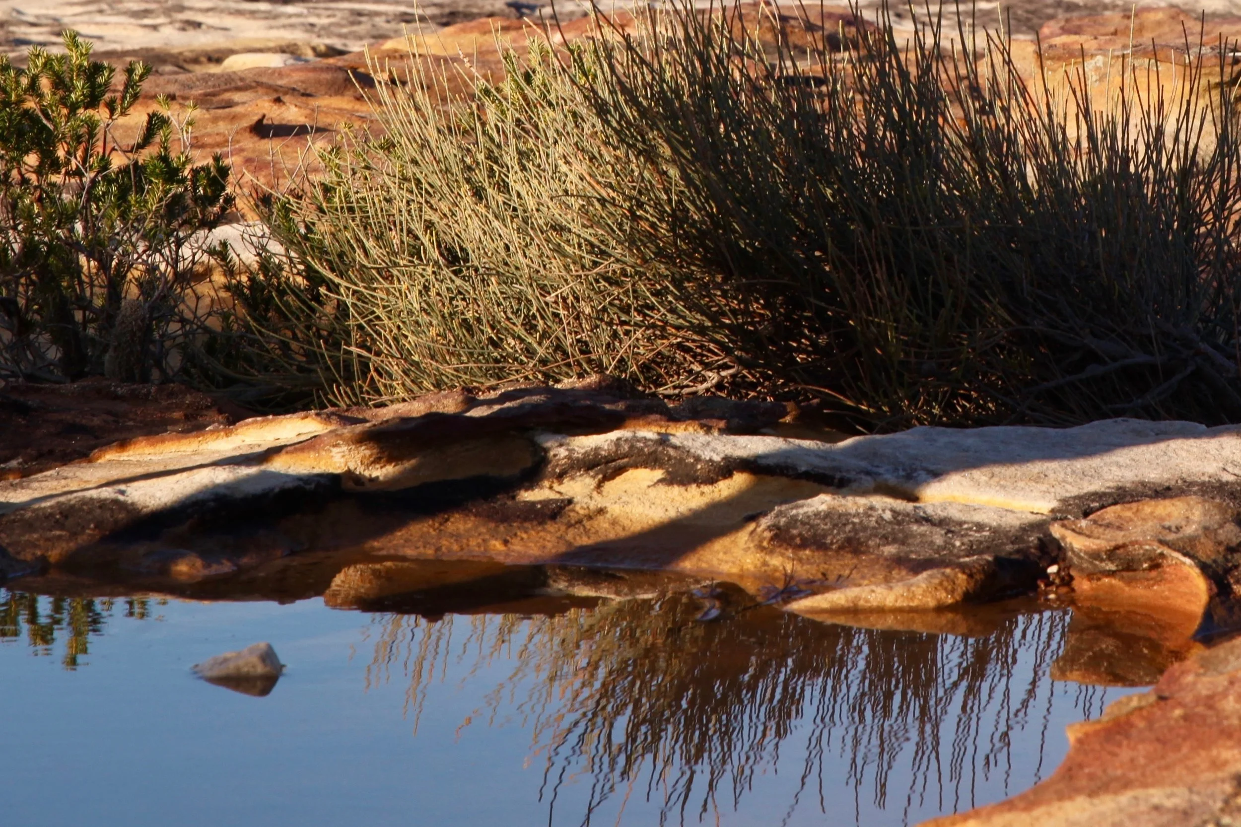 The hike from Bundeena to Marley Beach on The Coast Track in Royal National Park is an easy day hike of approximately 11km.