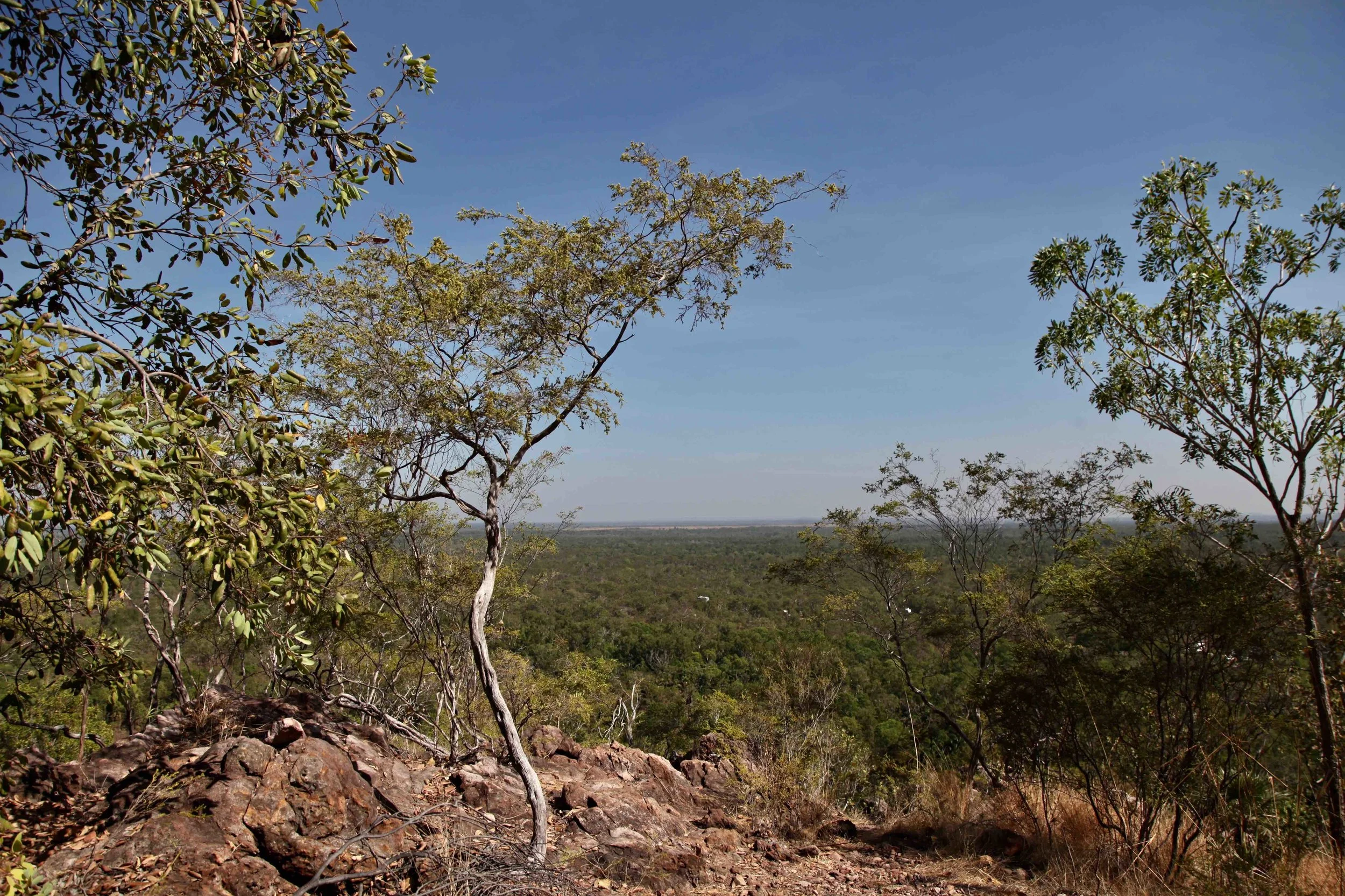 The view across Litchfield National Park from the Wangi loop track.