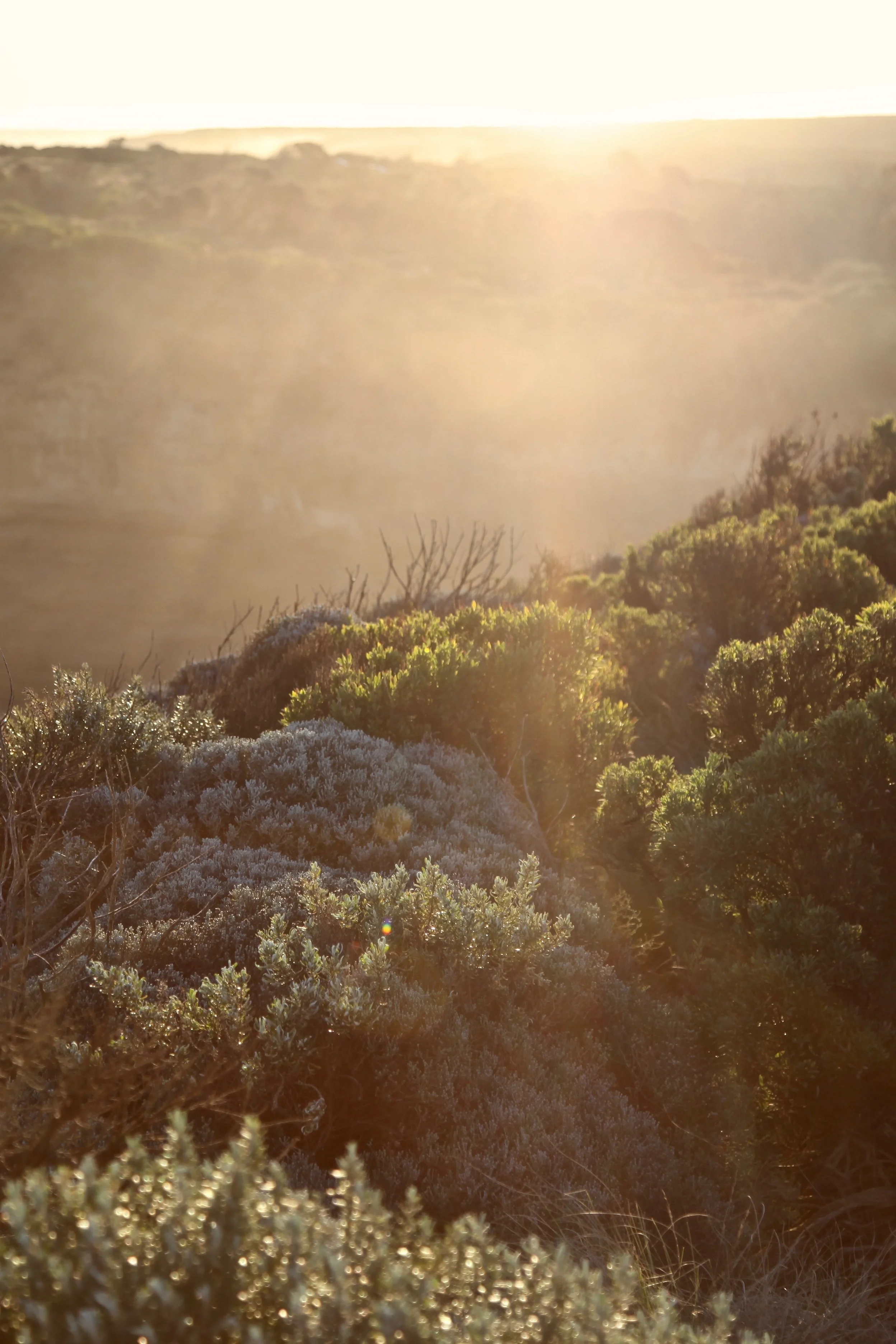 Magic golden hour light at Loch Ard Gorge on the Great Ocean Road.