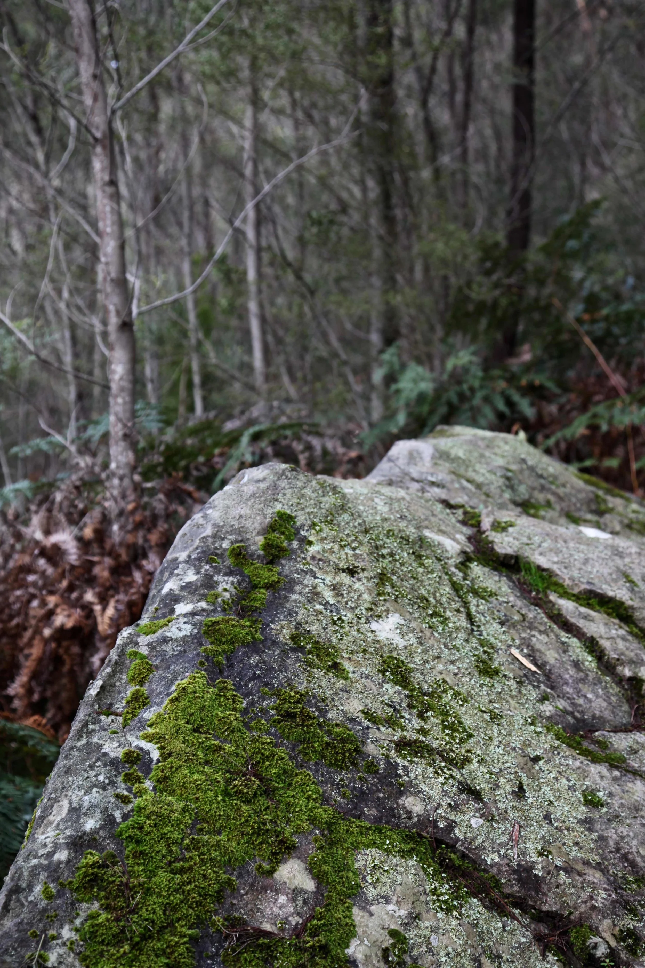 grampians-hike.jpg