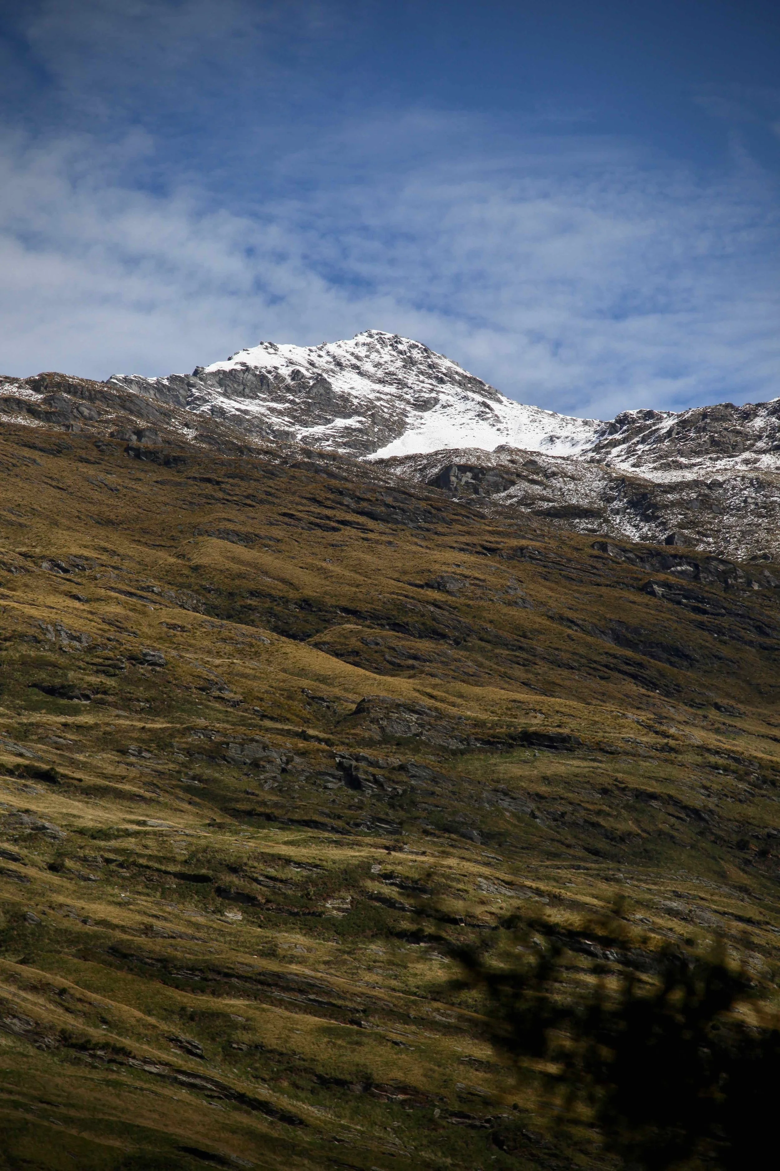 view-mt-aspiring-national-park.jpg