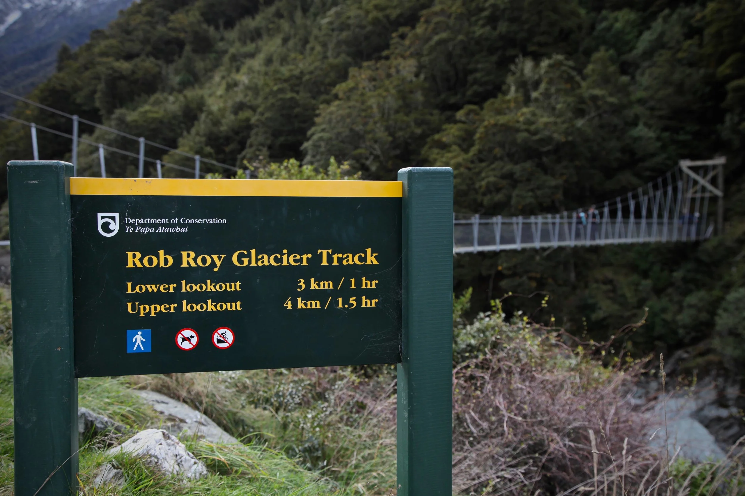 Rob Roy Glacier Track in Mount Aspiring National Park on New Zealand’s South Island.