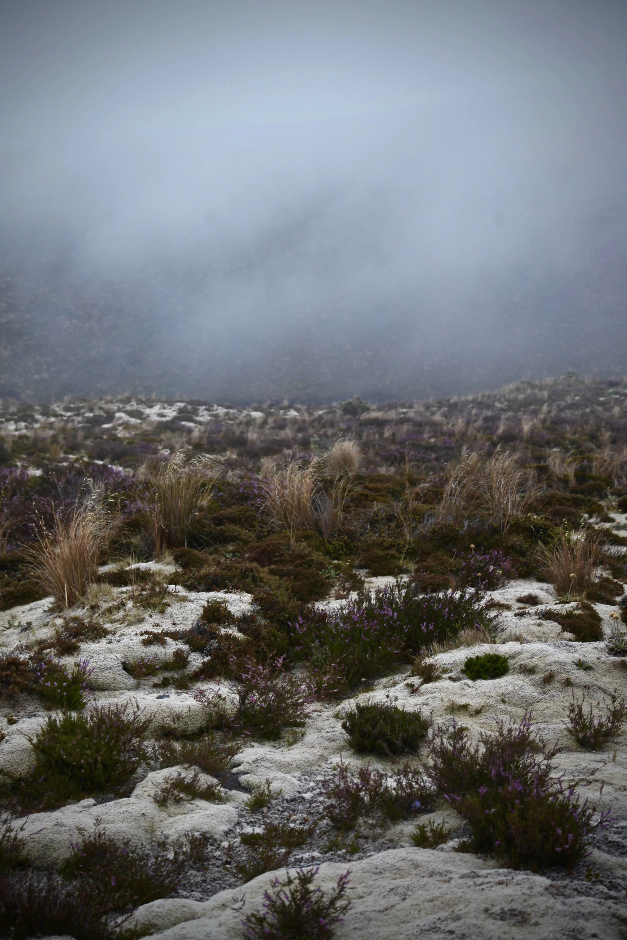 tongariro-alpine-crossing-hike.jpg