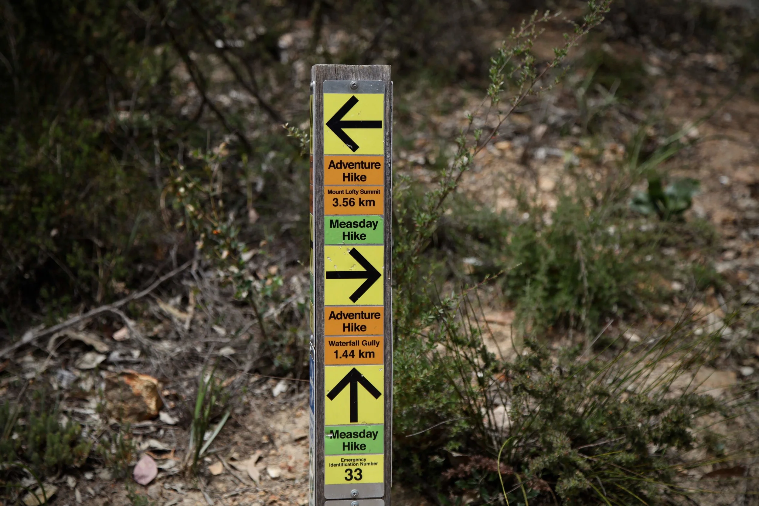 Track upgrades throughout 2019 mean you’ll be detoured along other tracks en route to Mount Lofty.