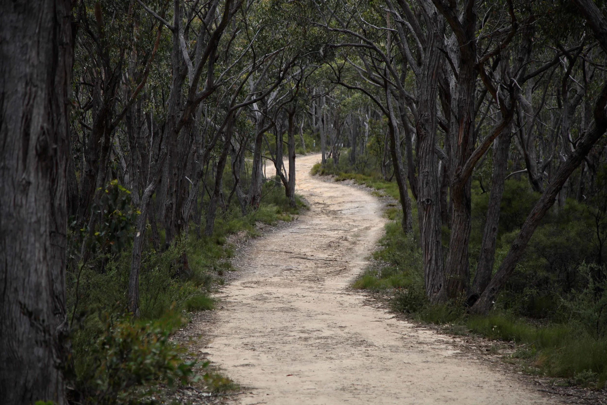 The track to Mount Lofty summit near Adelaide.