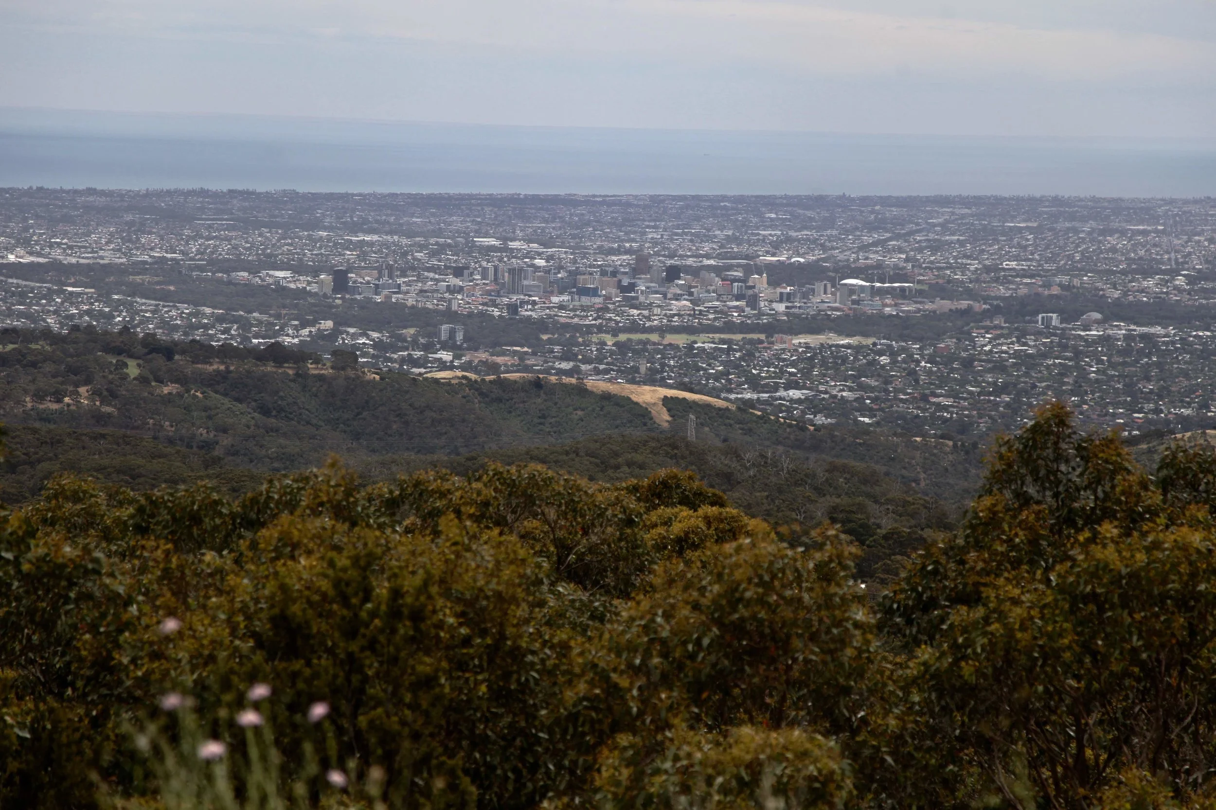 The view over Adelaide from Mt Lofty summit.