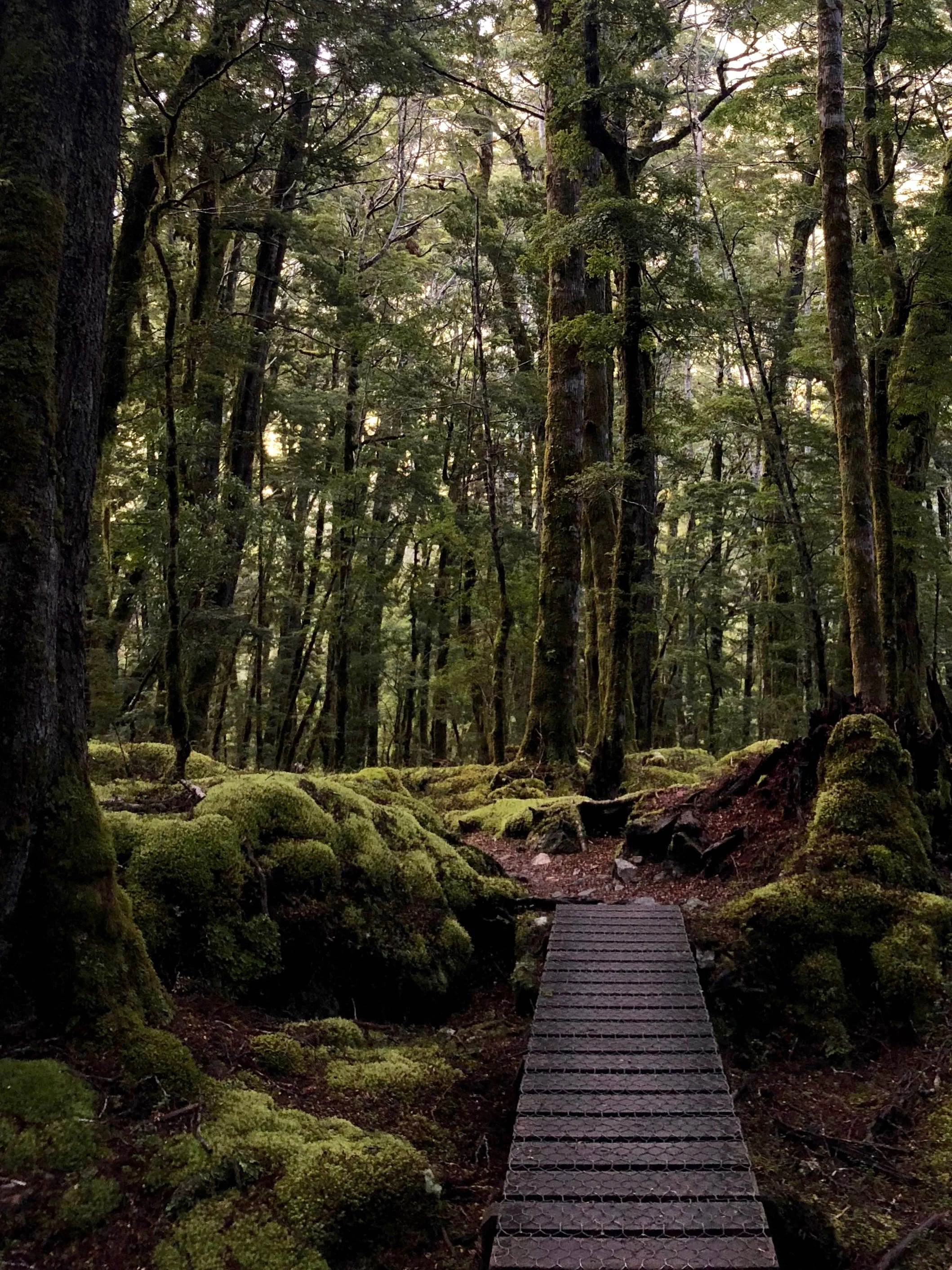 kepler-track-fiordland.jpg