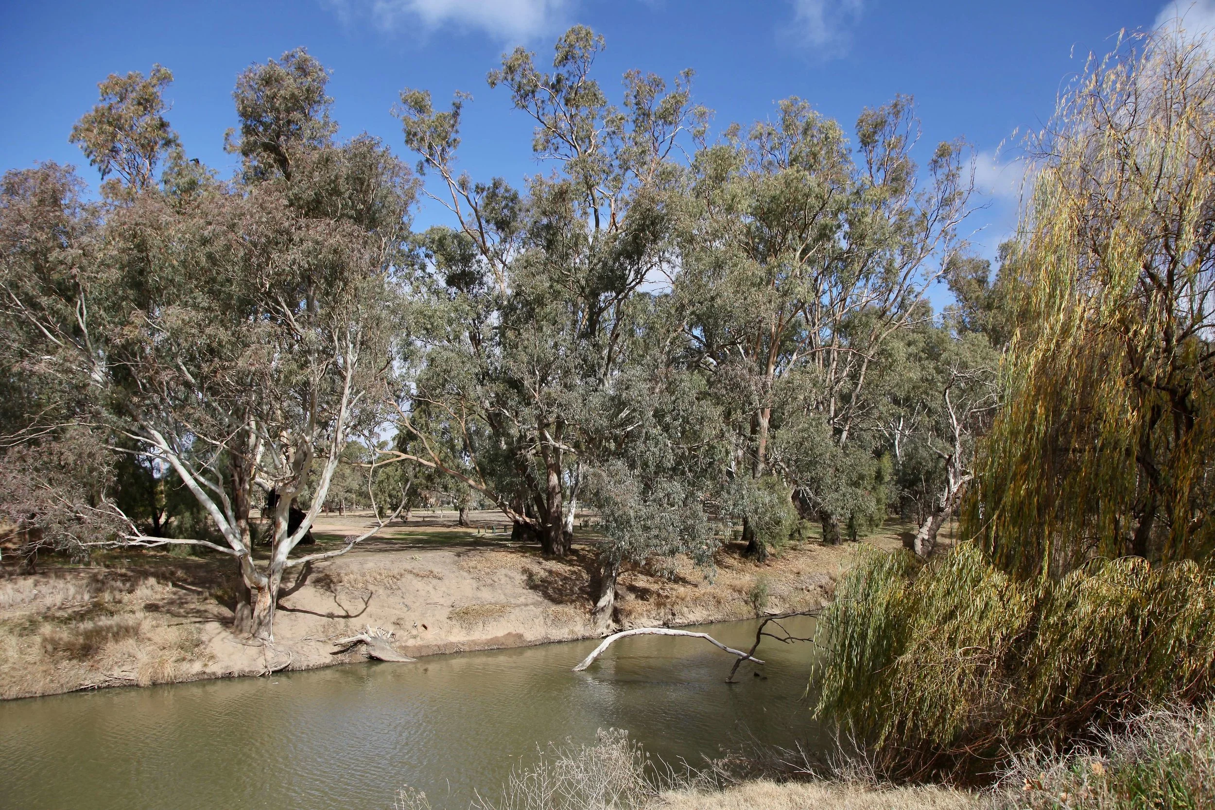 The Lachlan River is the fourth longest river in Australia at 1339km.