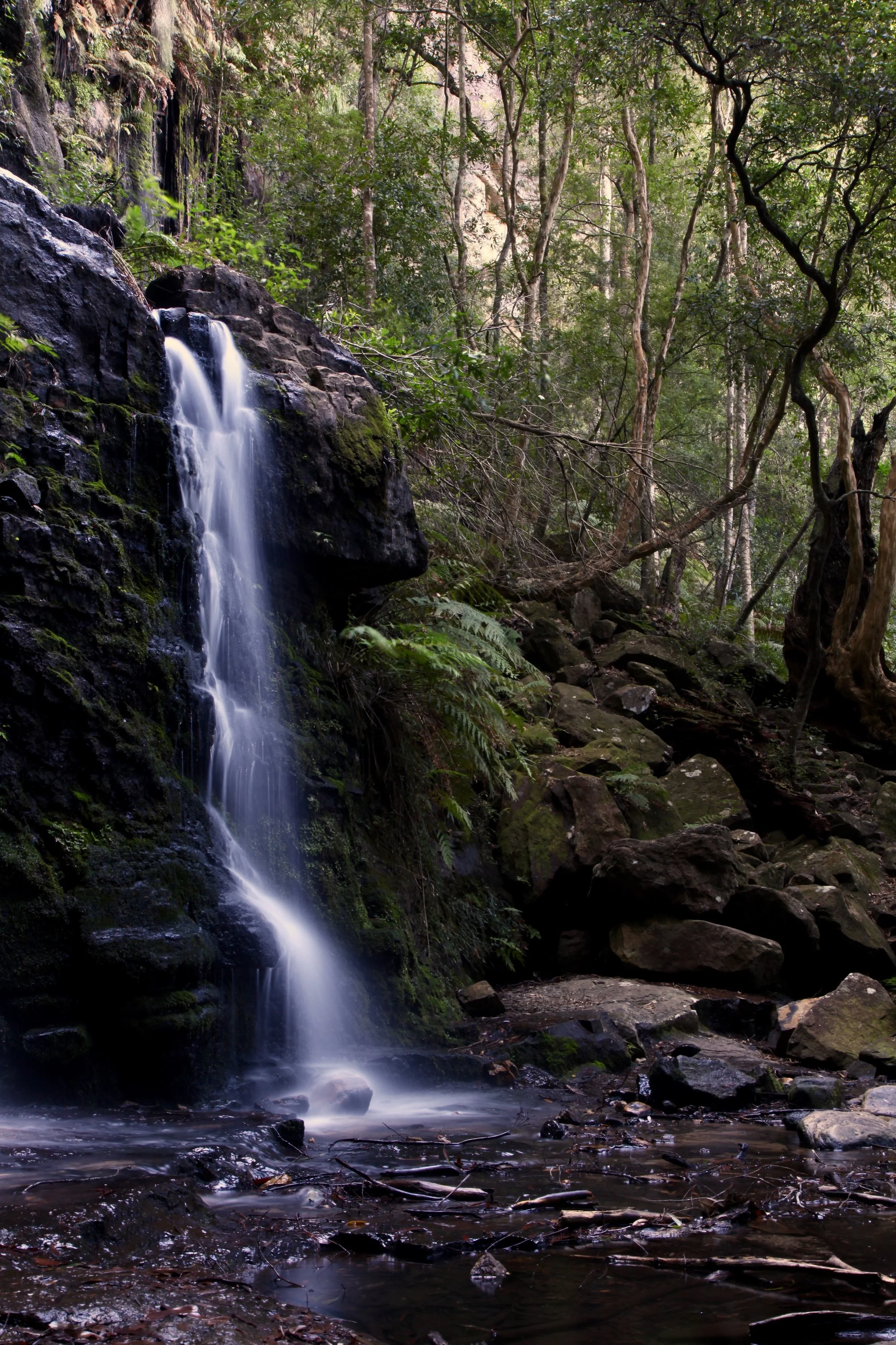 fairy-bower-waterfall-morton-national-park-bundanoon.jpg